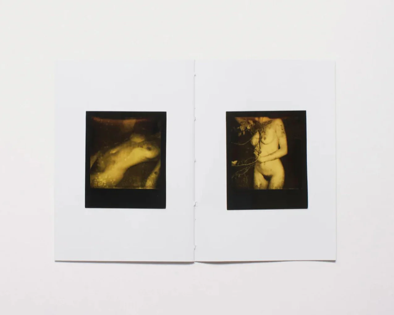 002 by Abi Perkin - Image 3