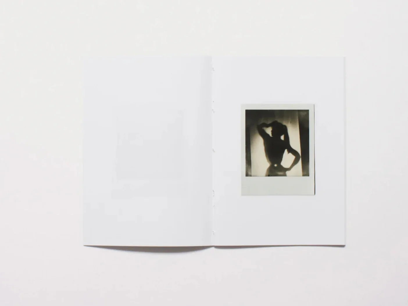 002 by Abi Perkin - Image 5