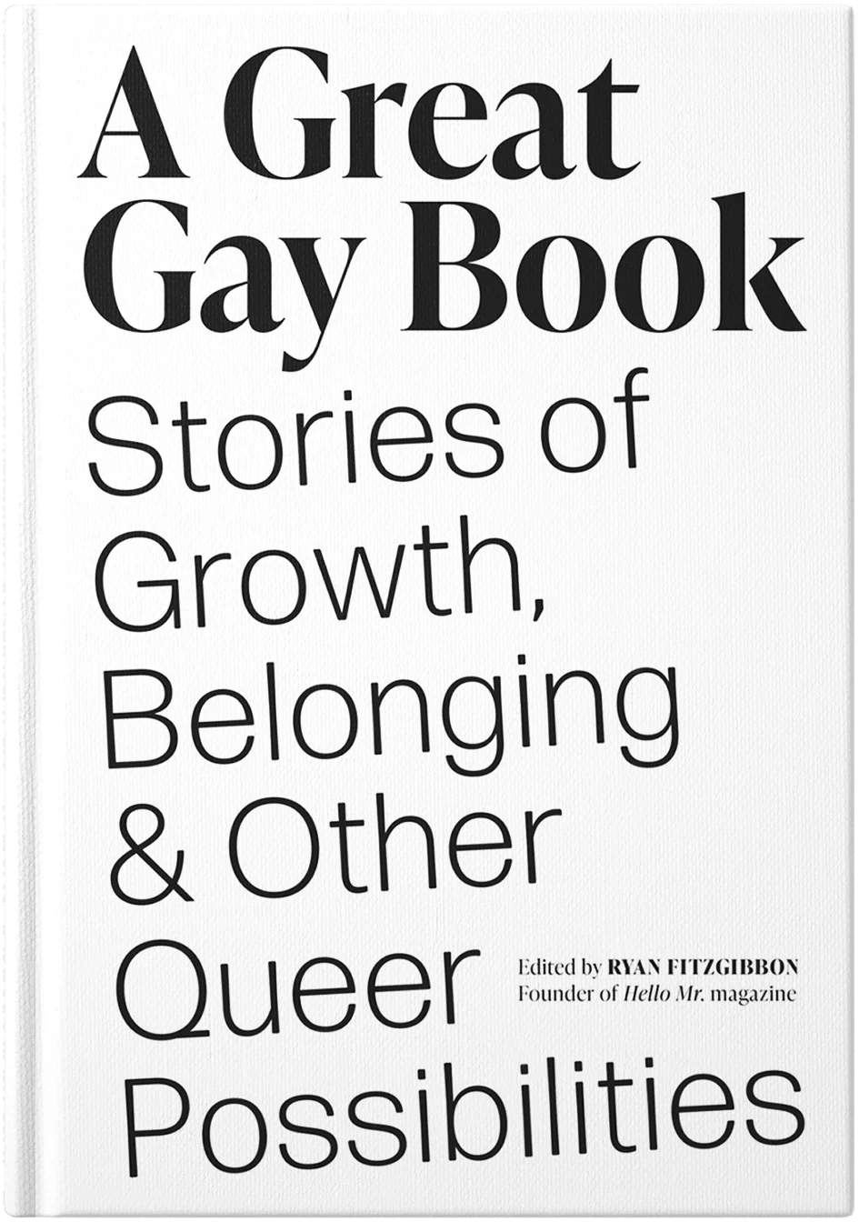 A Great Gay Book - Image 3