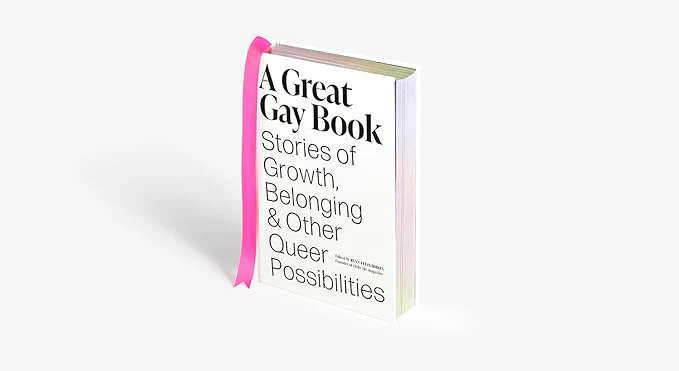 A Great Gay Book - Image 9