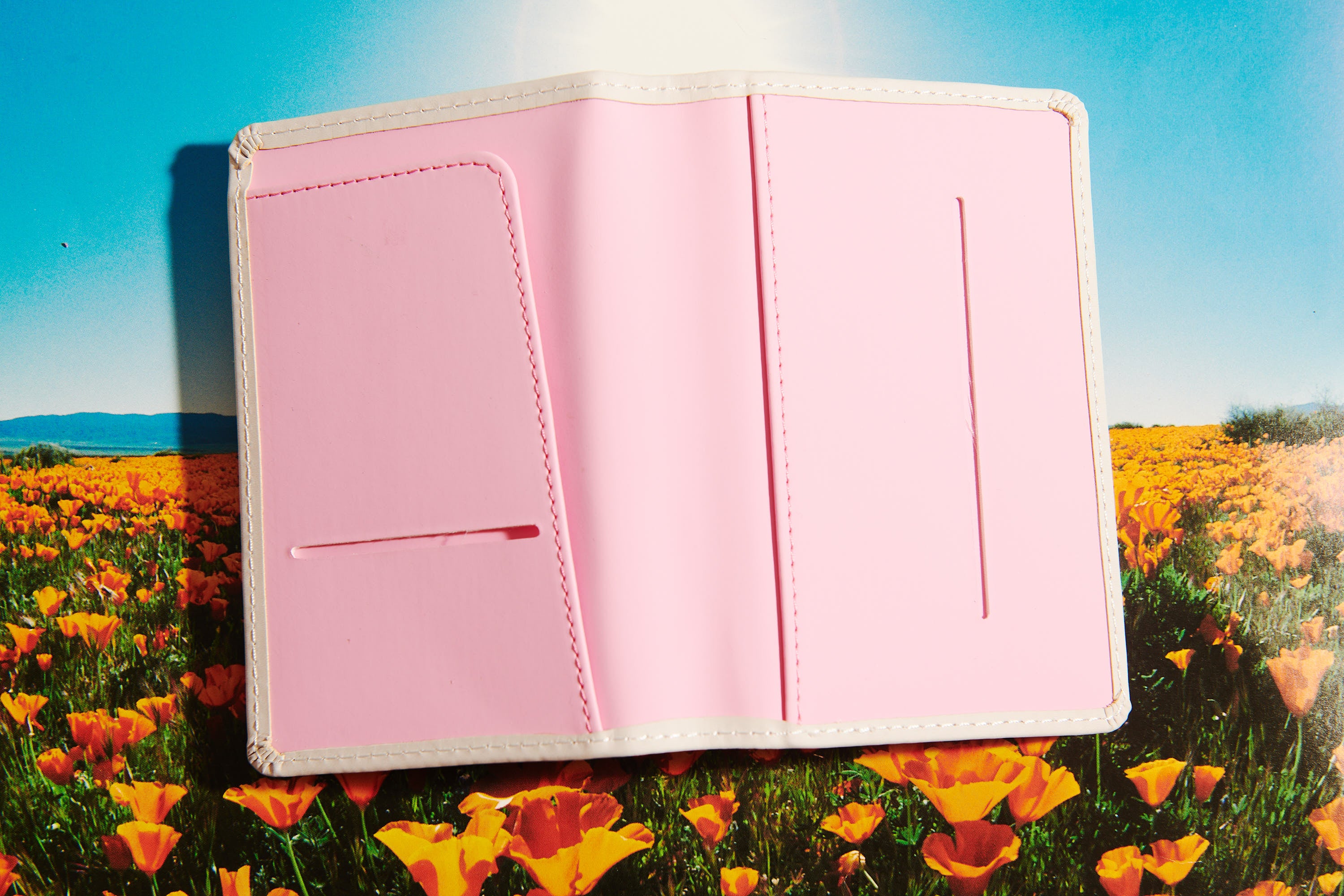 BERKLEY BESTIARY RAINBOW KITTEN PASSPORT COVER - Image 2