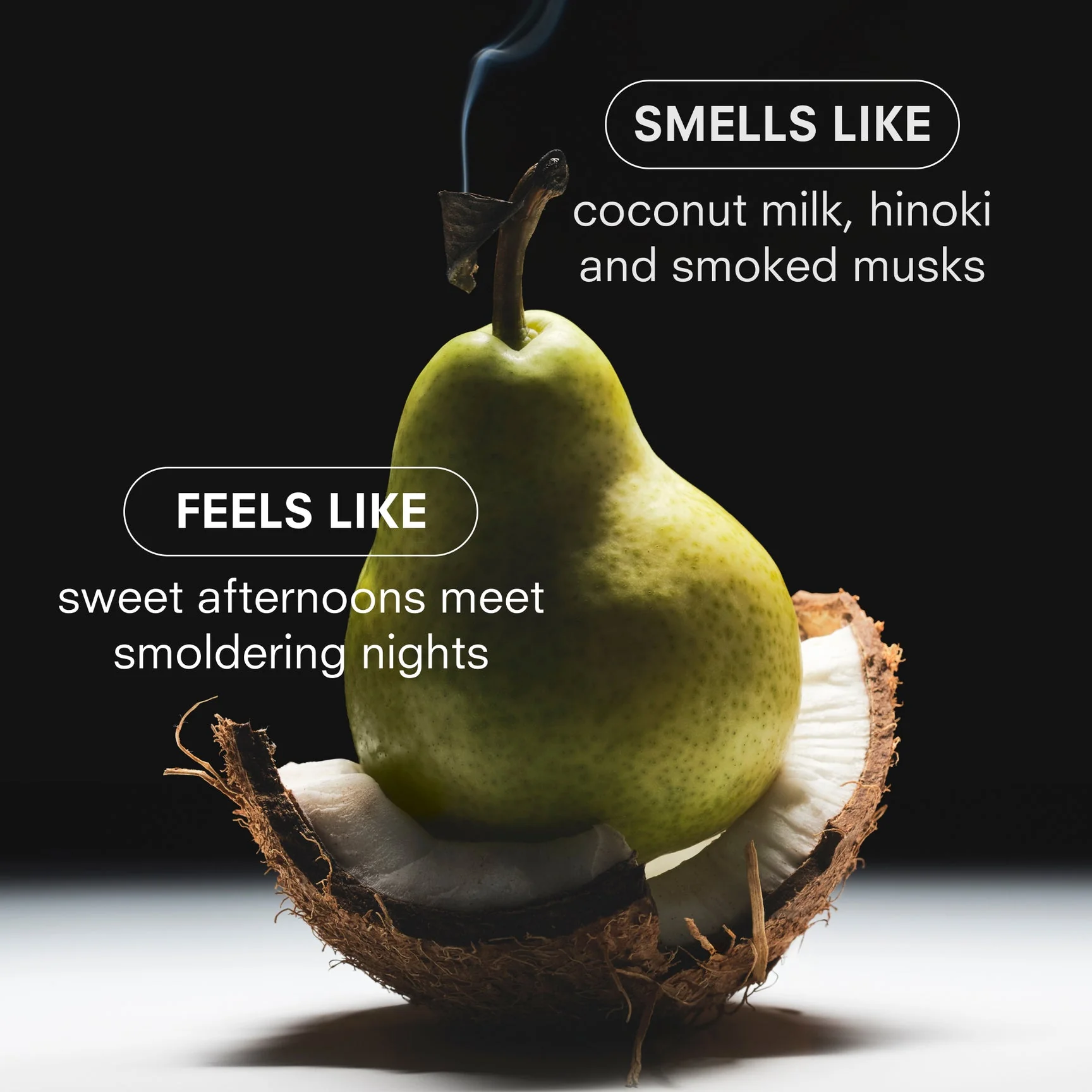 COCO HINOKI Fragrance by Boy Smells - Image 5