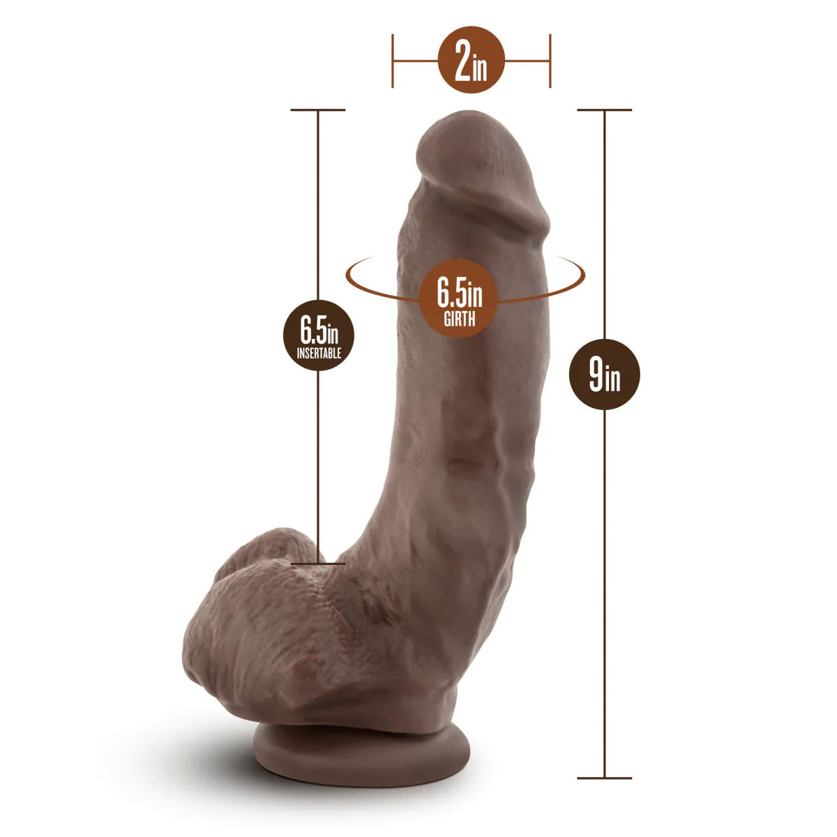 Dr. Skin Mr. Mayor Realistic Curved Chocolate 9-Inch Long Dildo - Image 2
