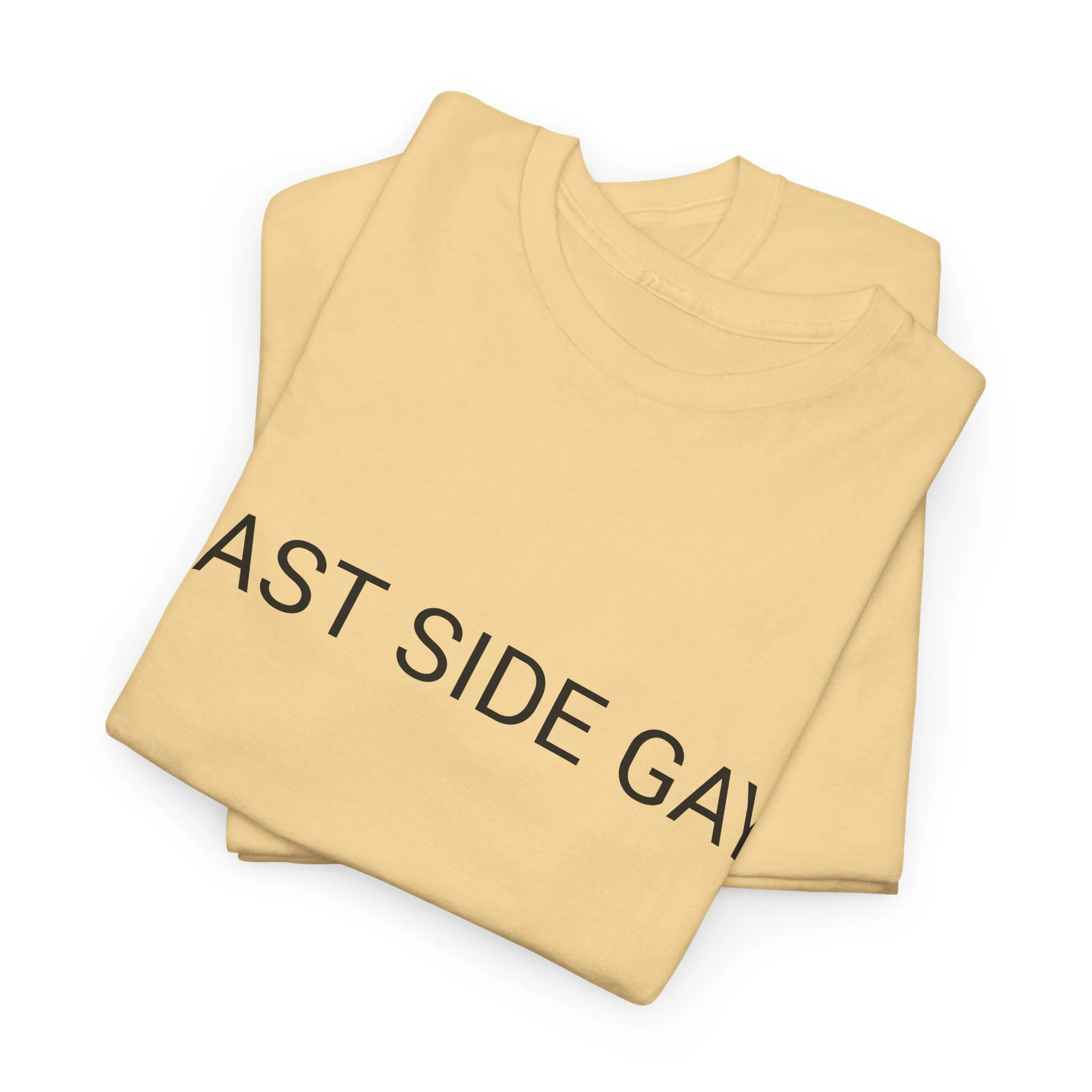 EAST SIDE GAY TEE BY CULTUREEDIT AVAILABLE IN 13 COLORS - Image 169