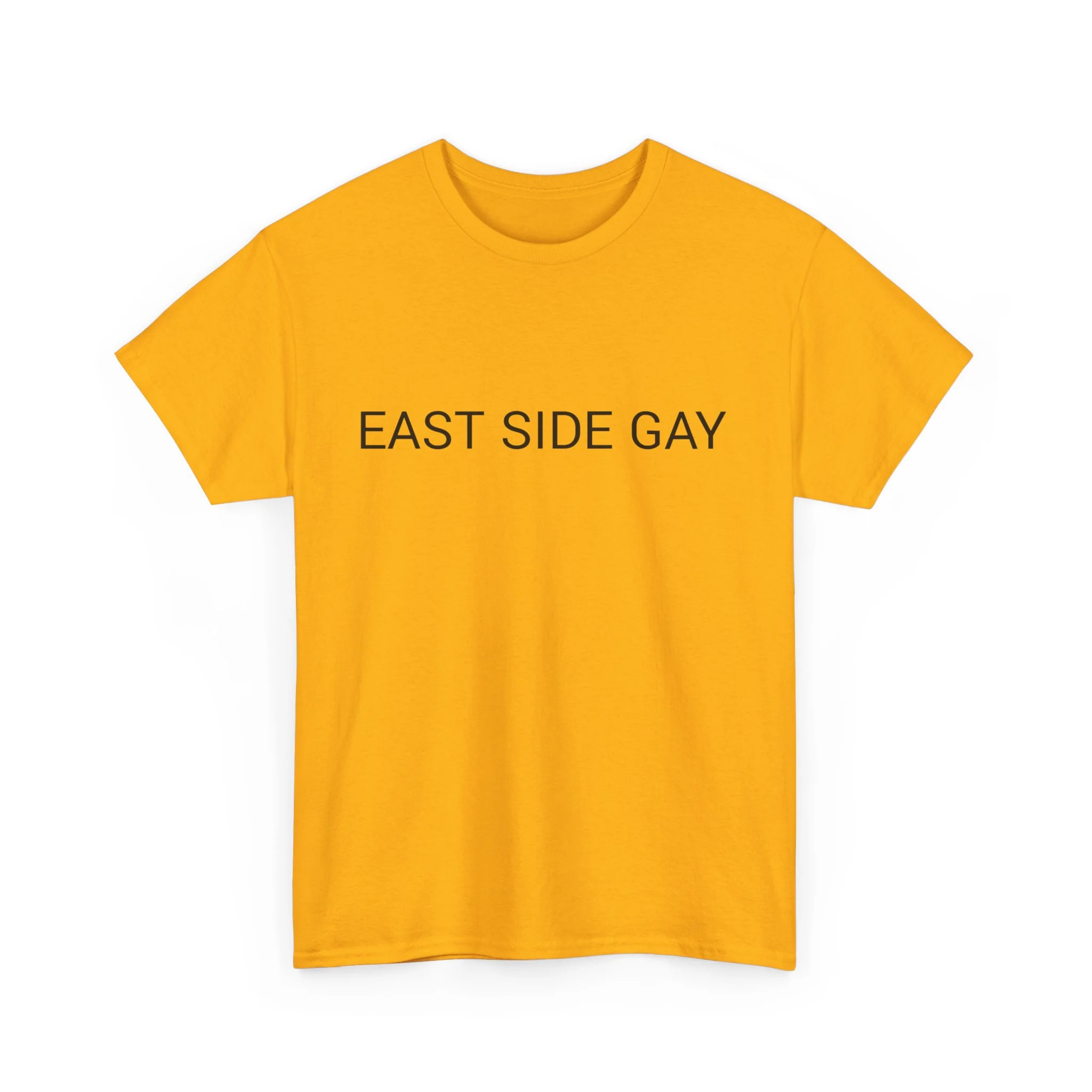 EAST SIDE GAY TEE BY CULTUREEDIT AVAILABLE IN 13 COLORS - Image 186