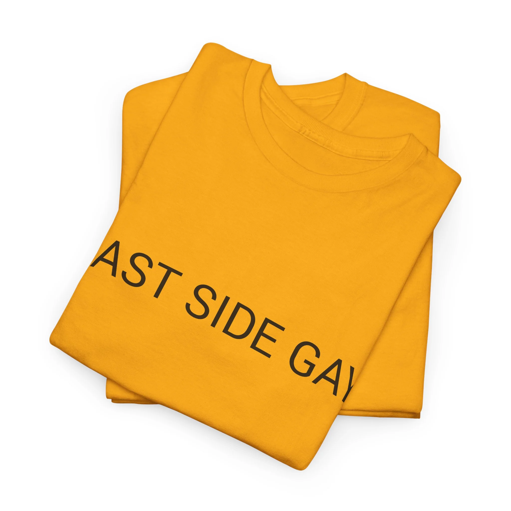 EAST SIDE GAY TEE BY CULTUREEDIT AVAILABLE IN 13 COLORS - Image 188