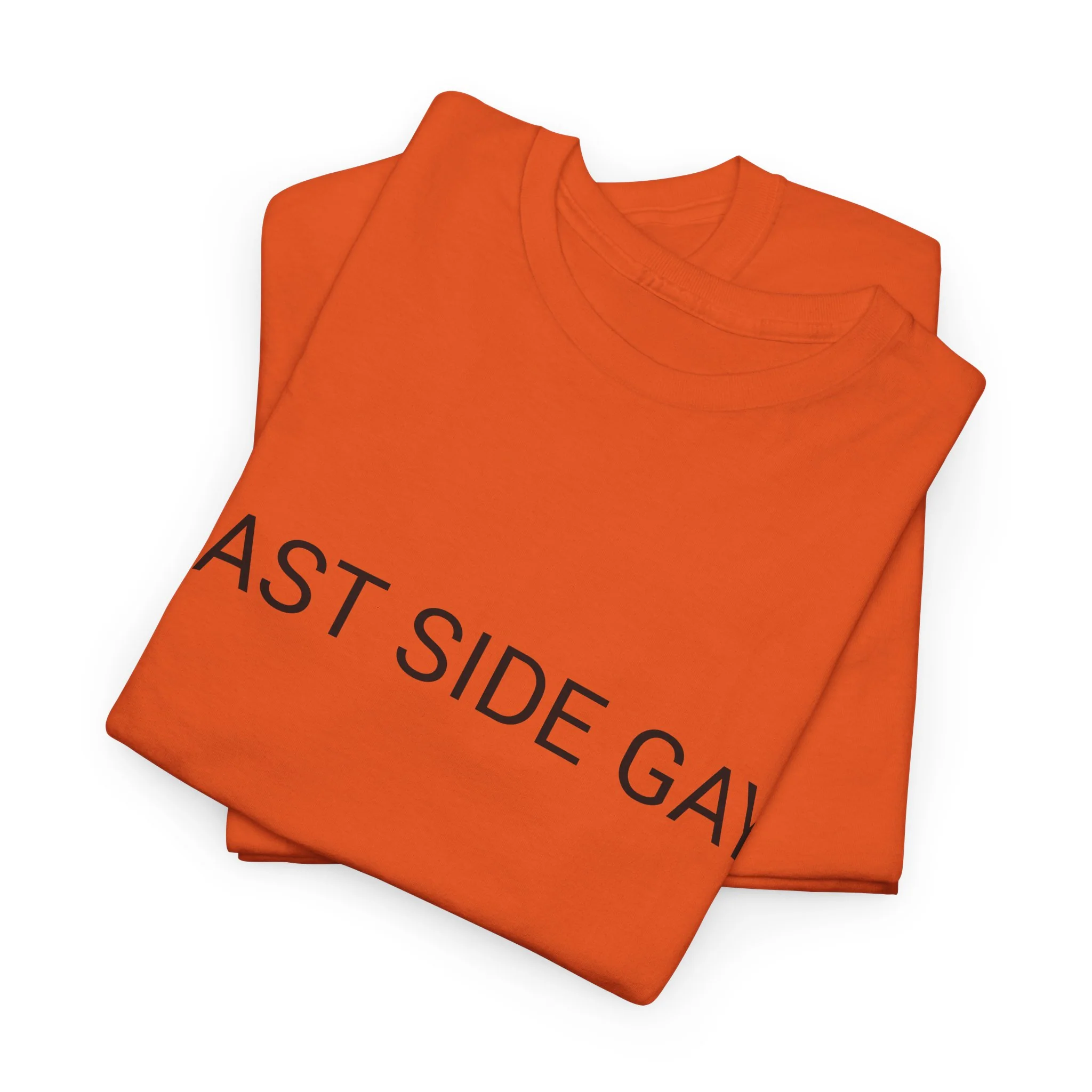 EAST SIDE GAY TEE BY CULTUREEDIT AVAILABLE IN 13 COLORS - Image 93