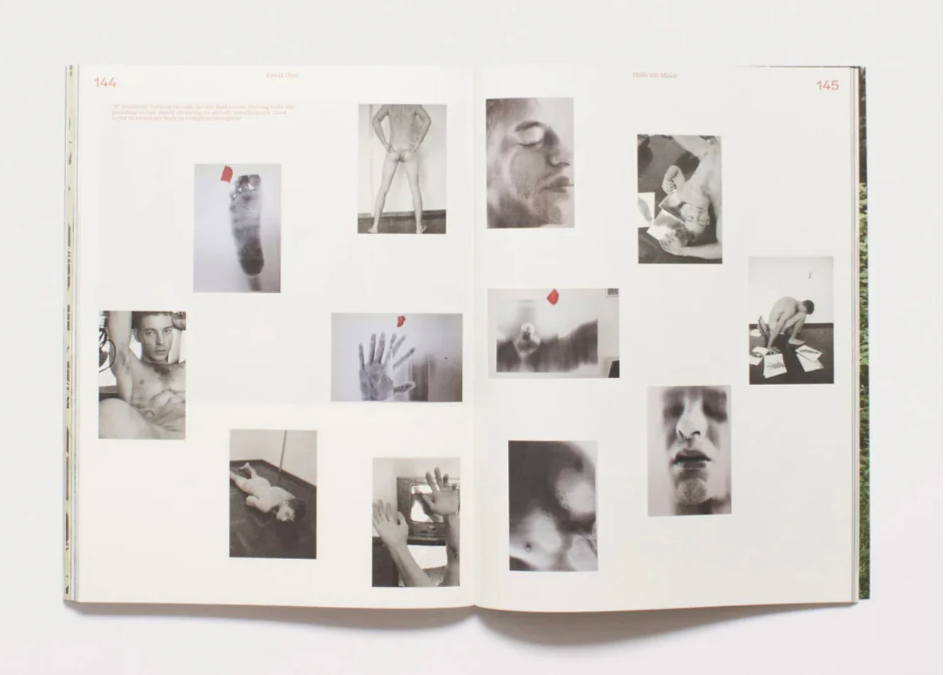 Feral Volume #1 - Image 7