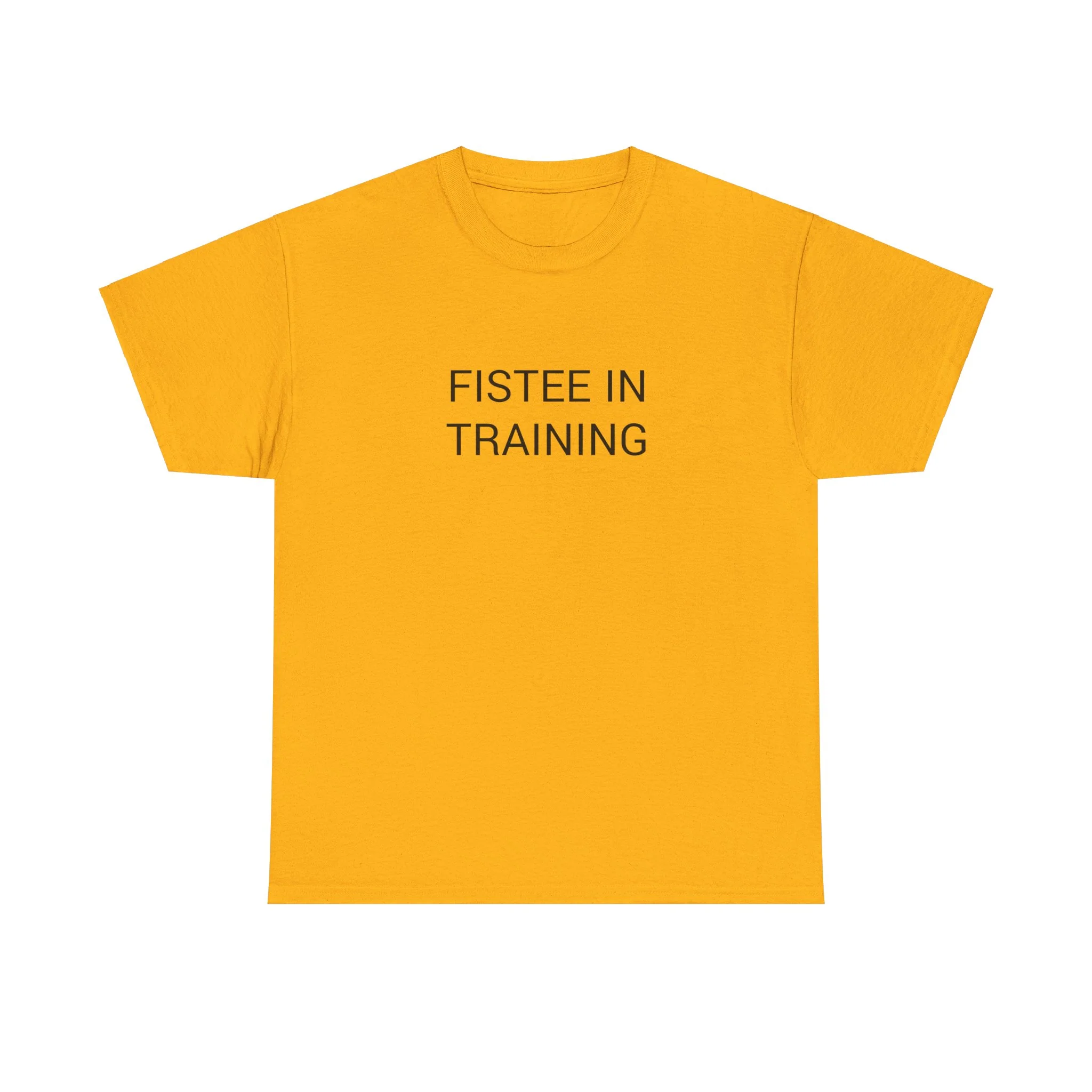 FISTEE IN TRAINING TEE BY CULTUREEDIT AVAILABLE IN 13 COLORS - Image 10