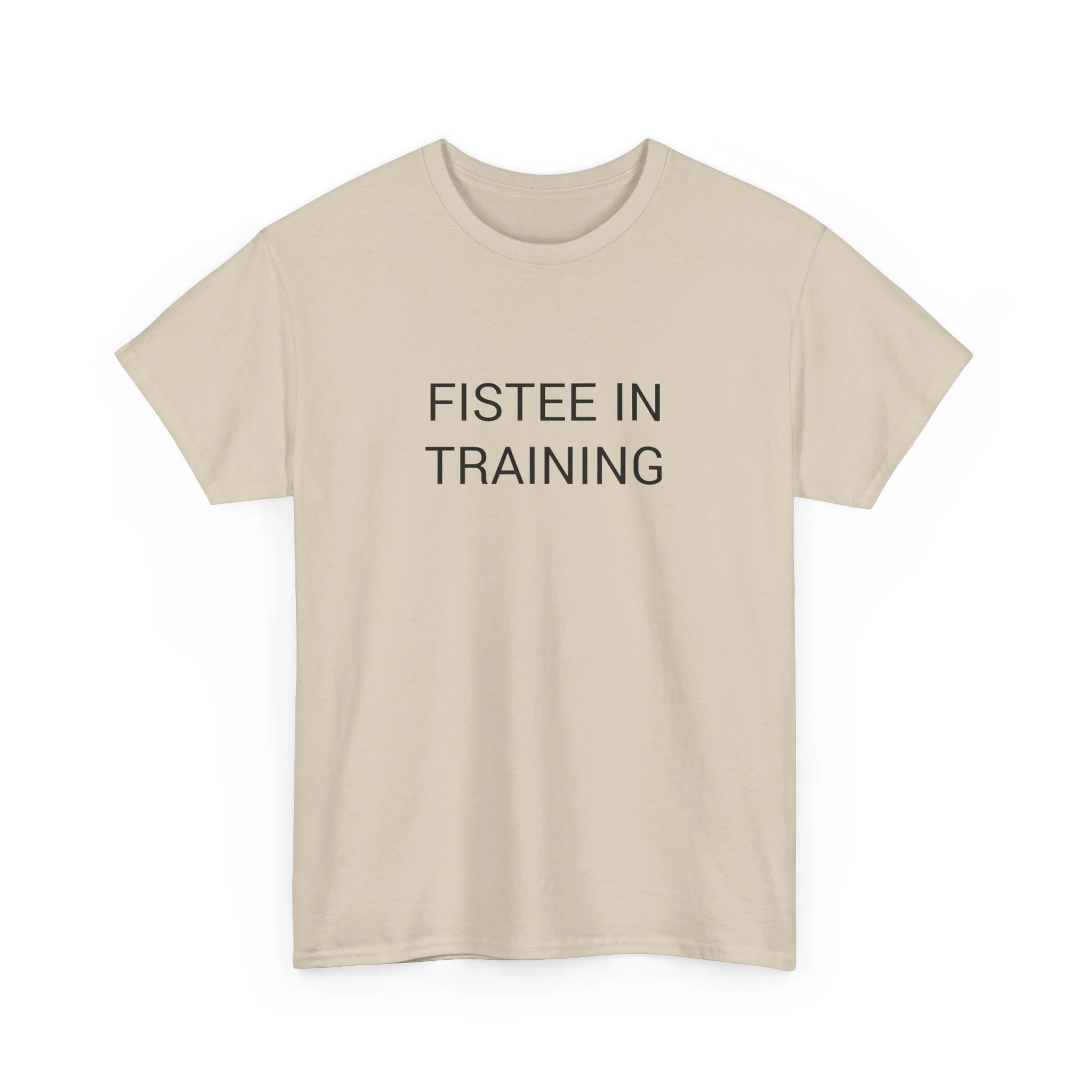 FISTEE IN TRAINING TEE BY CULTUREEDIT AVAILABLE IN 13 COLORS - Image 115