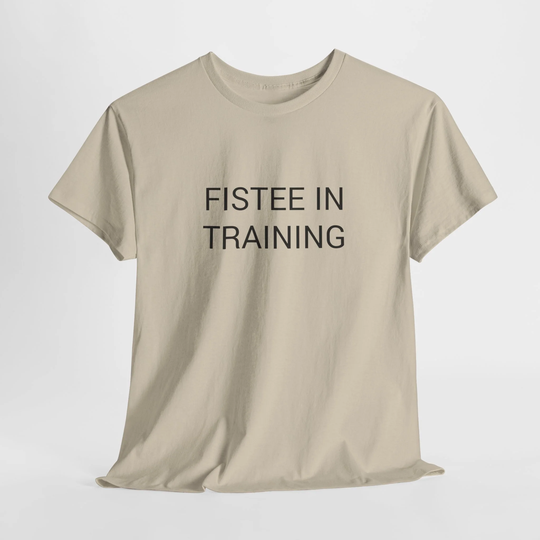 FISTEE IN TRAINING TEE BY CULTUREEDIT AVAILABLE IN 13 COLORS - Image 118