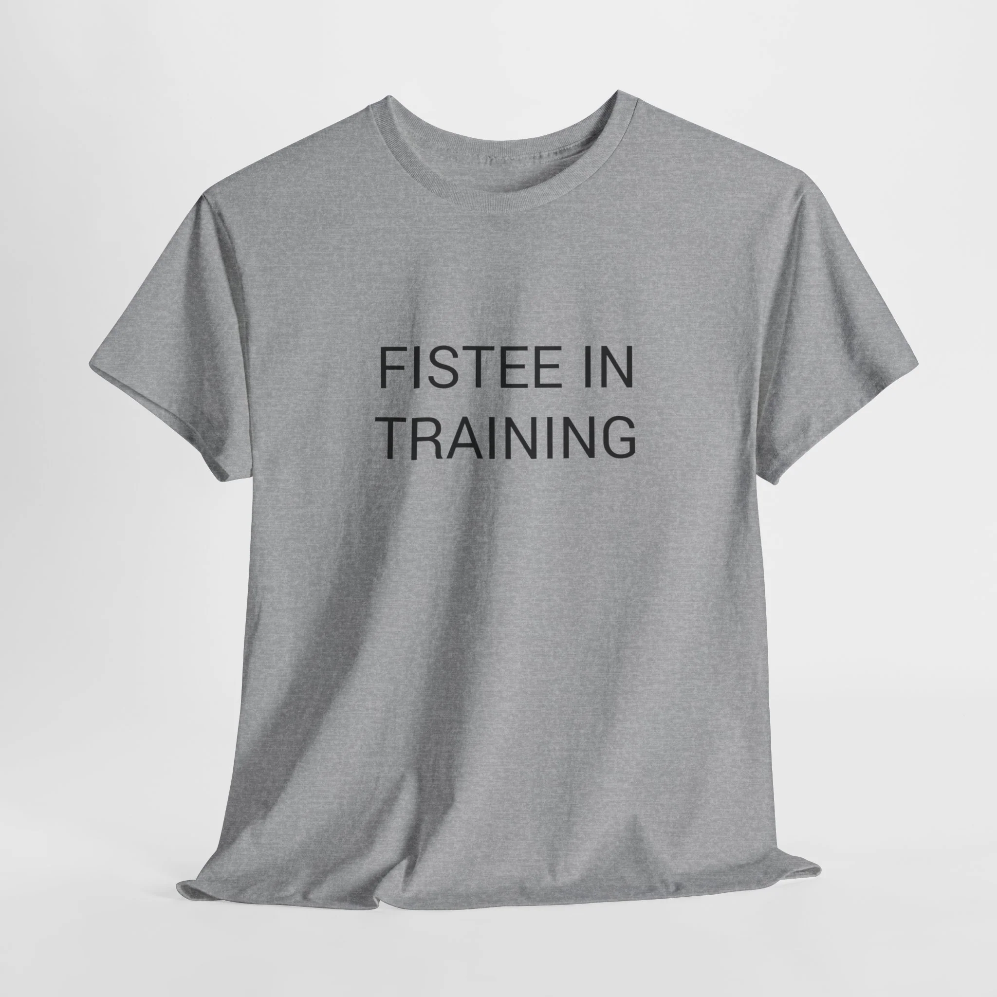 FISTEE IN TRAINING TEE BY CULTUREEDIT AVAILABLE IN 13 COLORS - Image 138