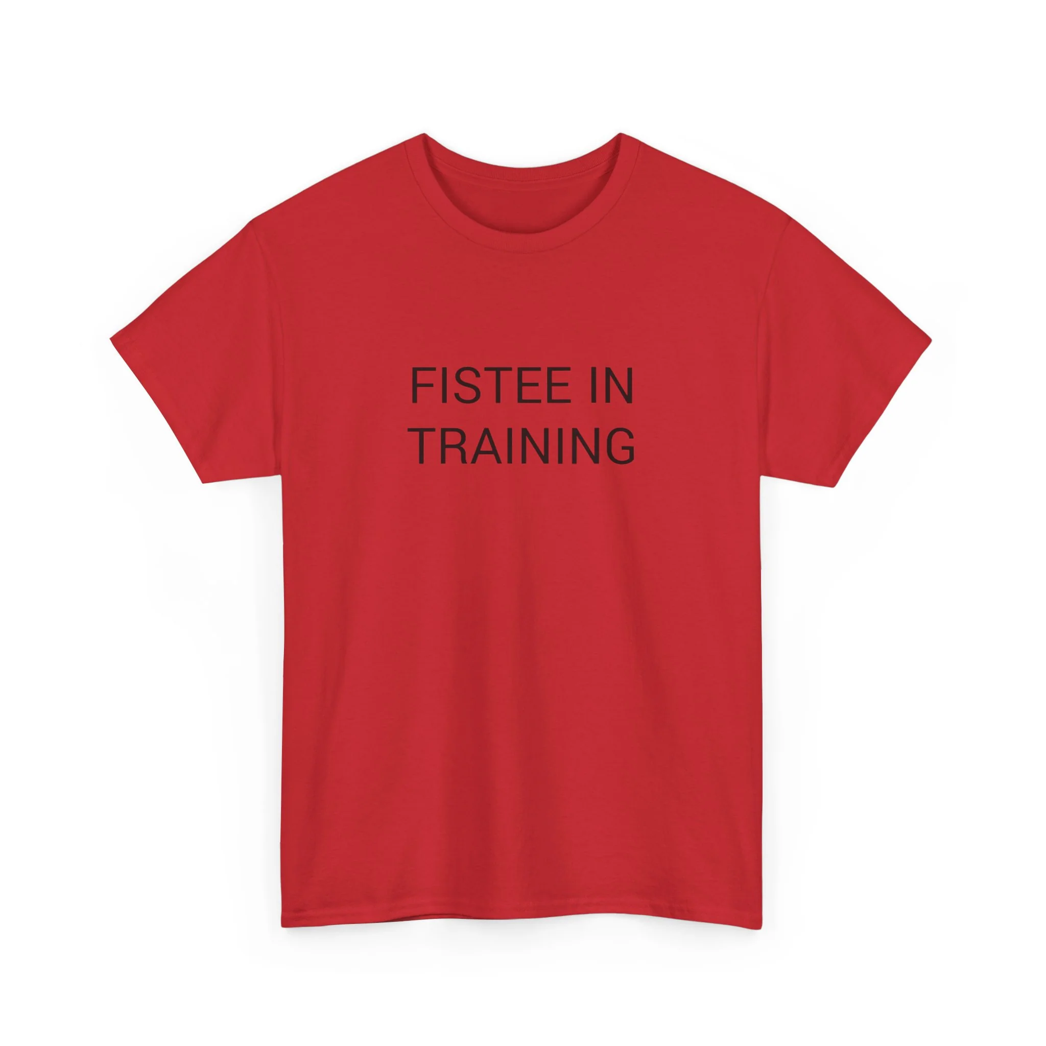 FISTEE IN TRAINING TEE BY CULTUREEDIT AVAILABLE IN 13 COLORS - Image 15