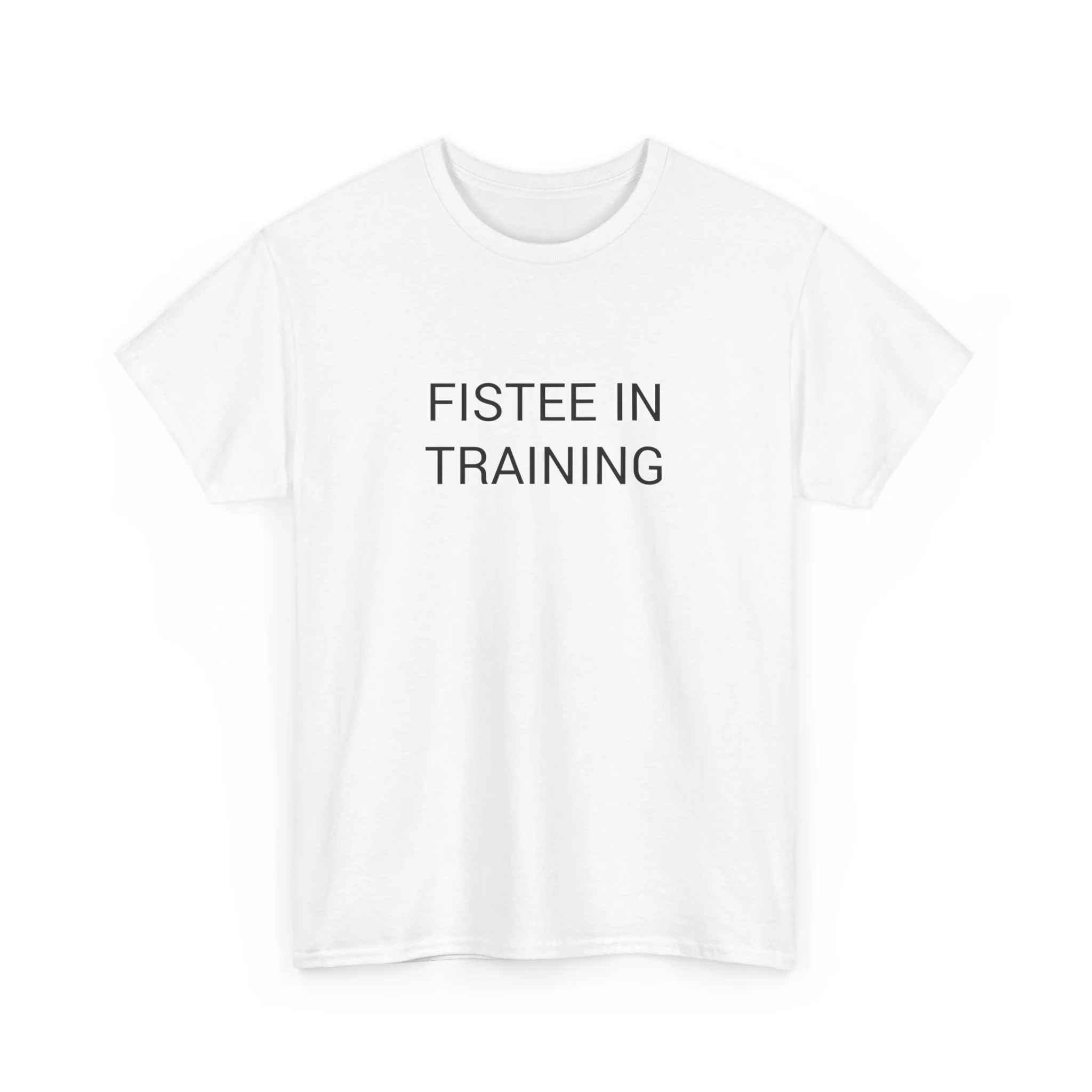 FISTEE IN TRAINING TEE BY CULTUREEDIT AVAILABLE IN 13 COLORS - Image 155
