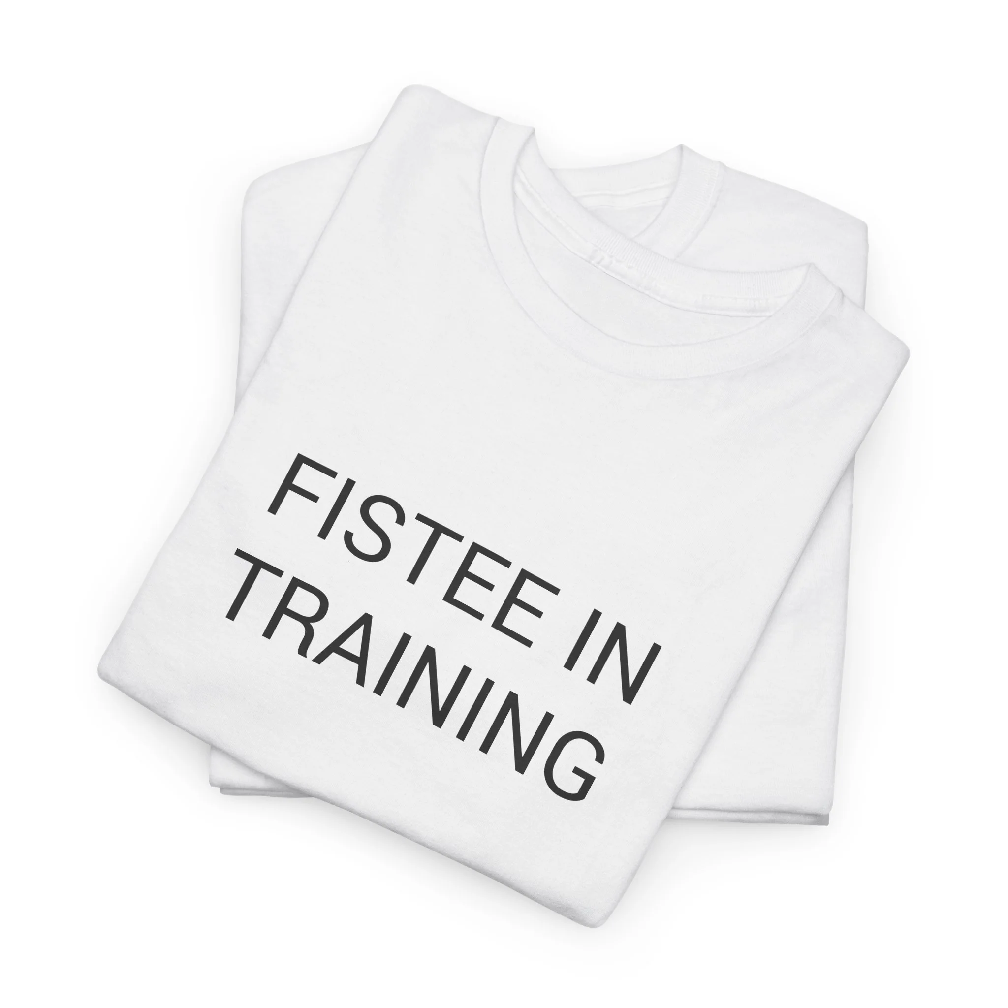 FISTEE IN TRAINING TEE BY CULTUREEDIT AVAILABLE IN 13 COLORS - Image 157