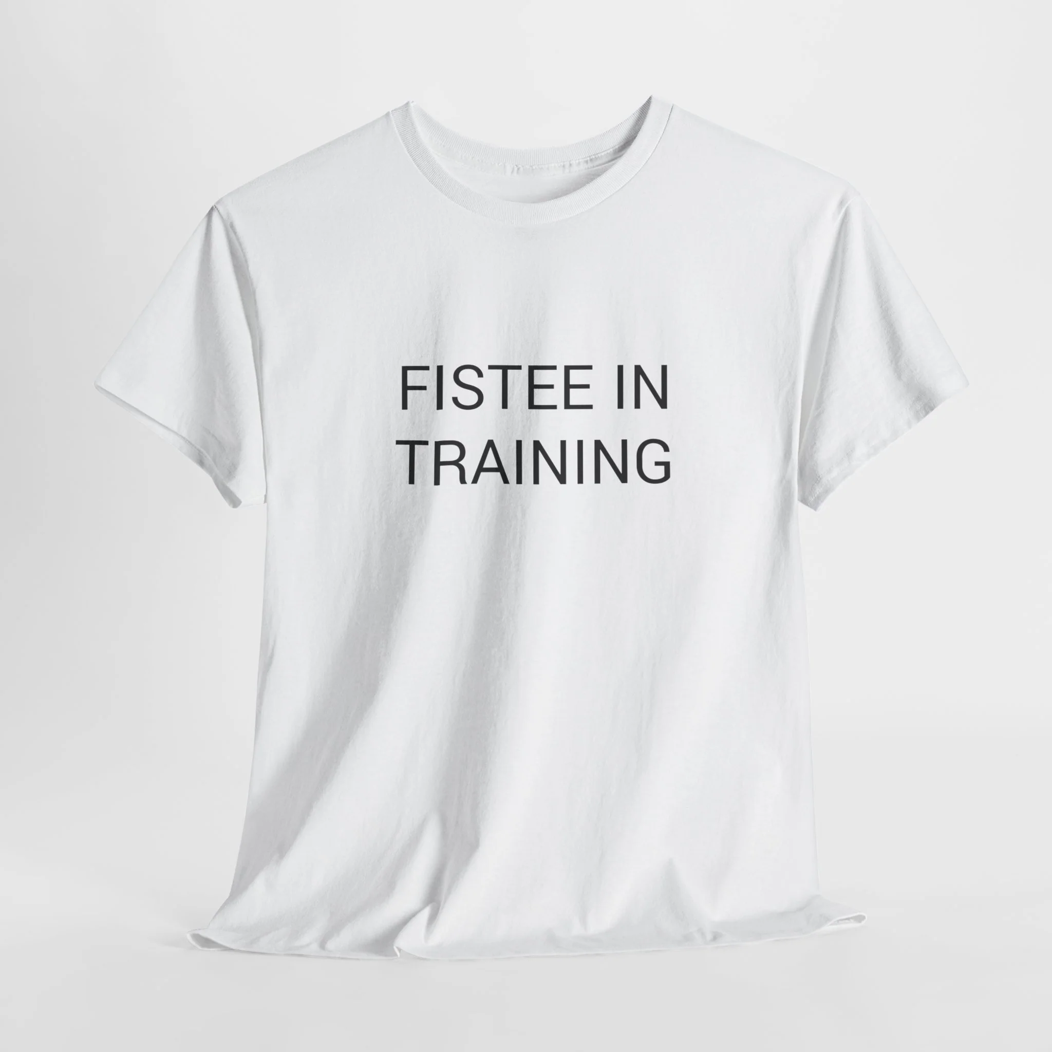 FISTEE IN TRAINING TEE BY CULTUREEDIT AVAILABLE IN 13 COLORS - Image 158