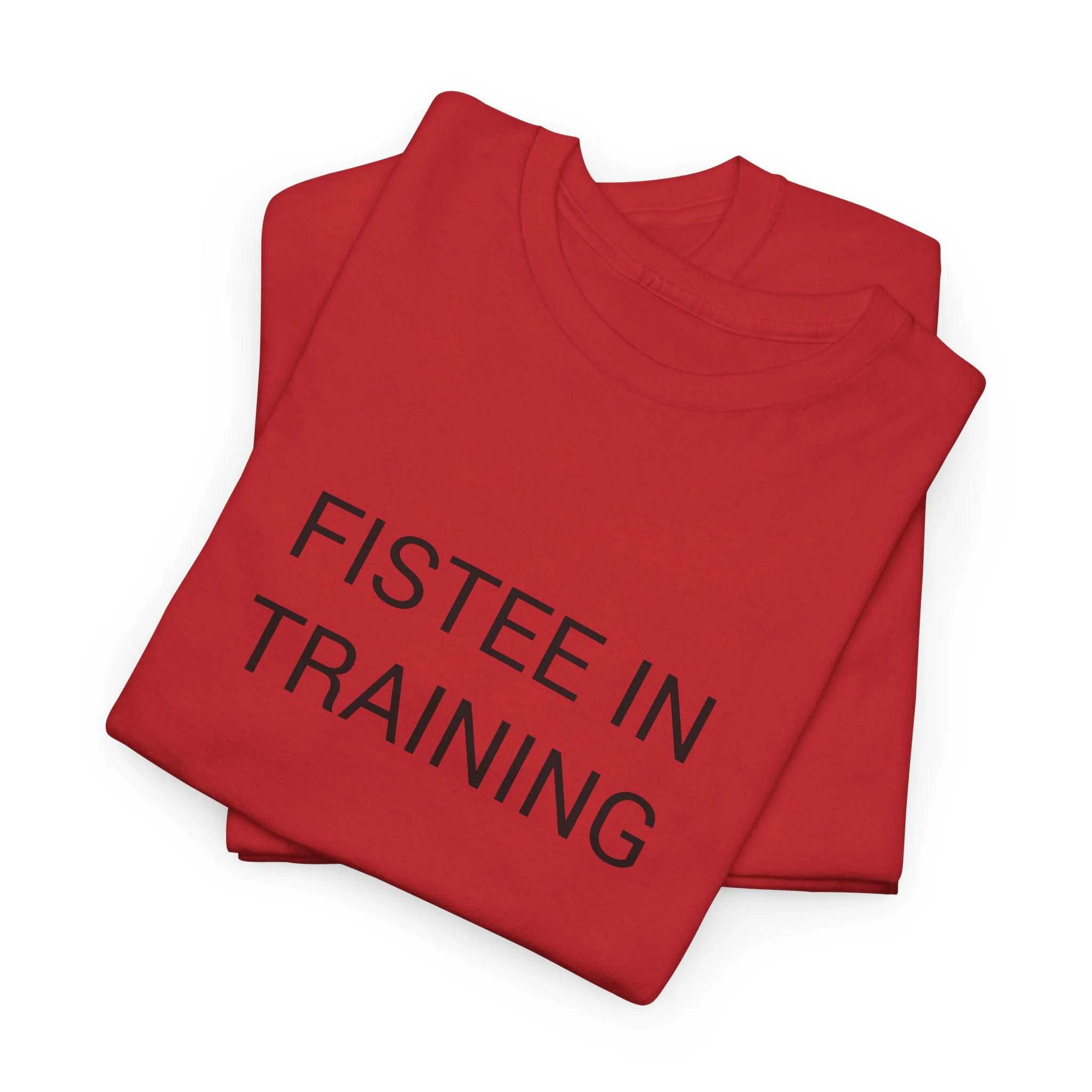 FISTEE IN TRAINING TEE BY CULTUREEDIT AVAILABLE IN 13 COLORS - Image 17