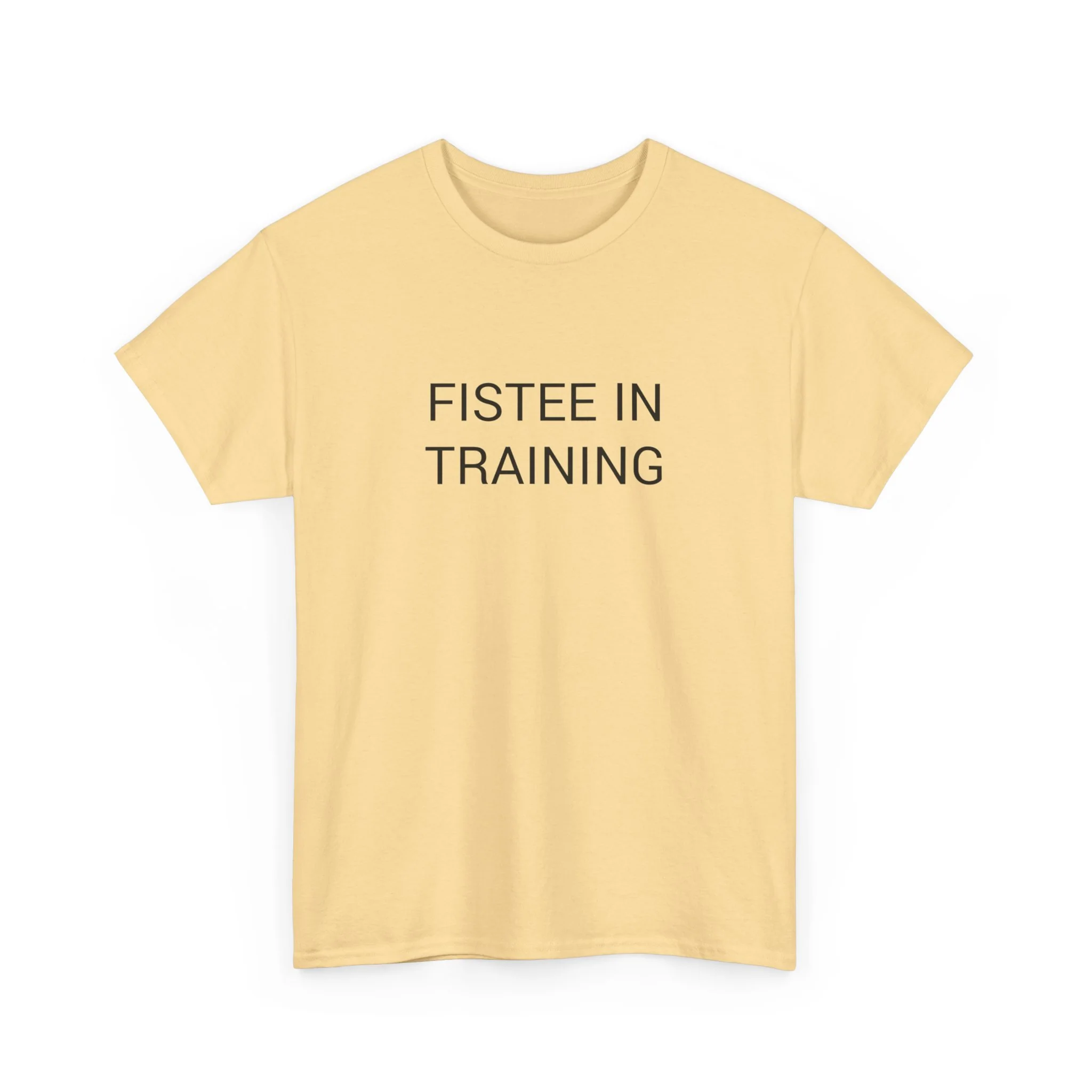 FISTEE IN TRAINING TEE BY CULTUREEDIT AVAILABLE IN 13 COLORS - Image 175