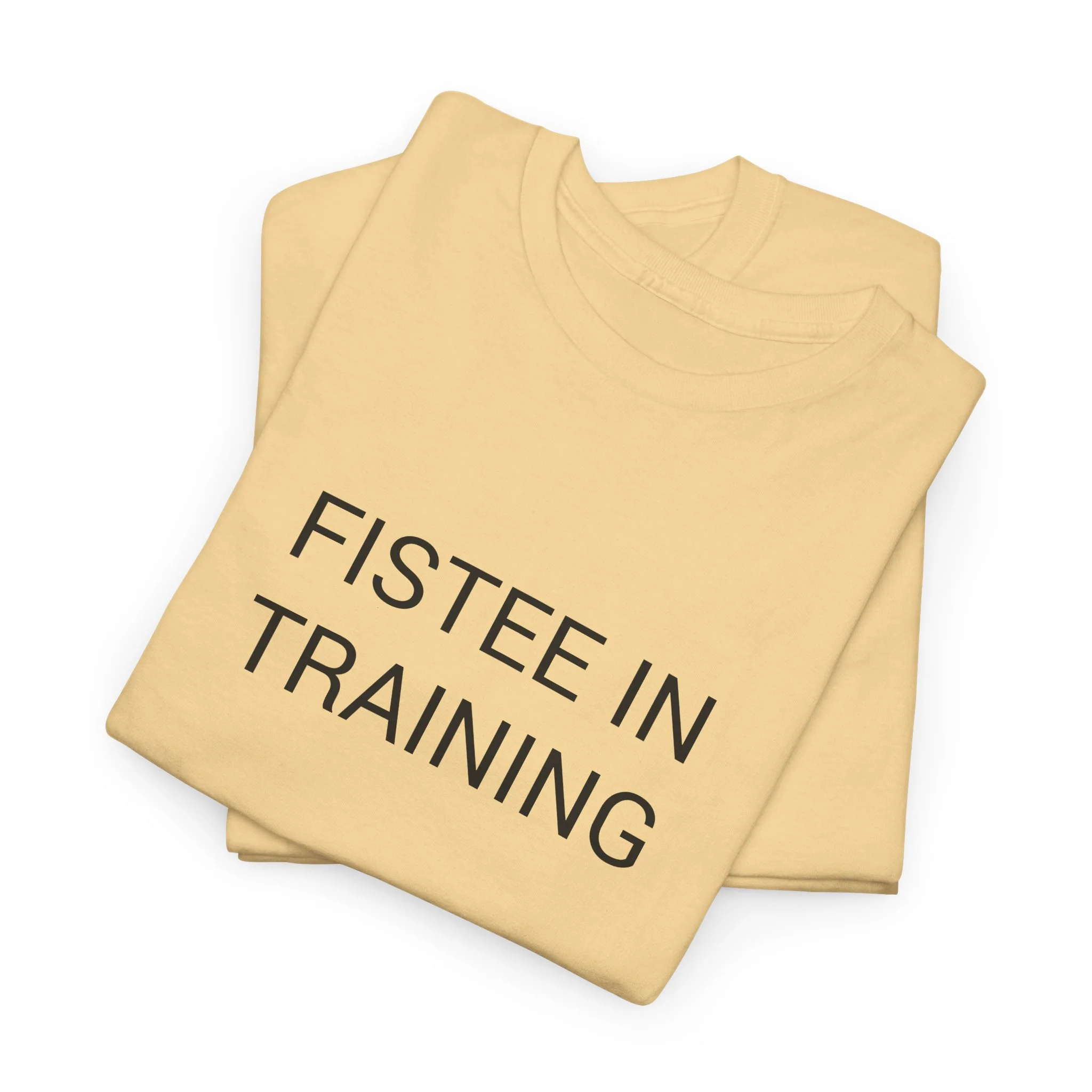 FISTEE IN TRAINING TEE BY CULTUREEDIT AVAILABLE IN 13 COLORS - Image 177