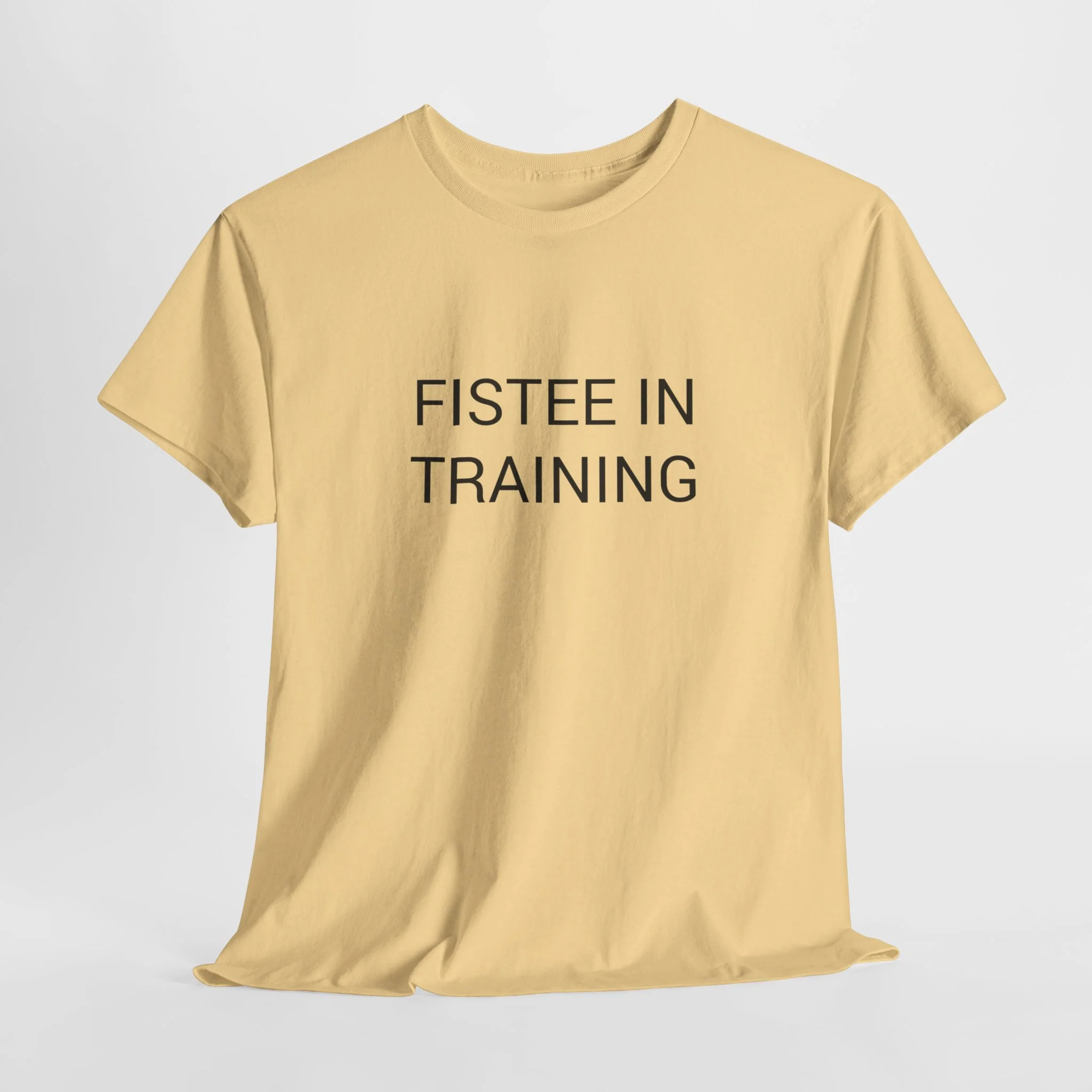 FISTEE IN TRAINING TEE BY CULTUREEDIT AVAILABLE IN 13 COLORS - Image 178