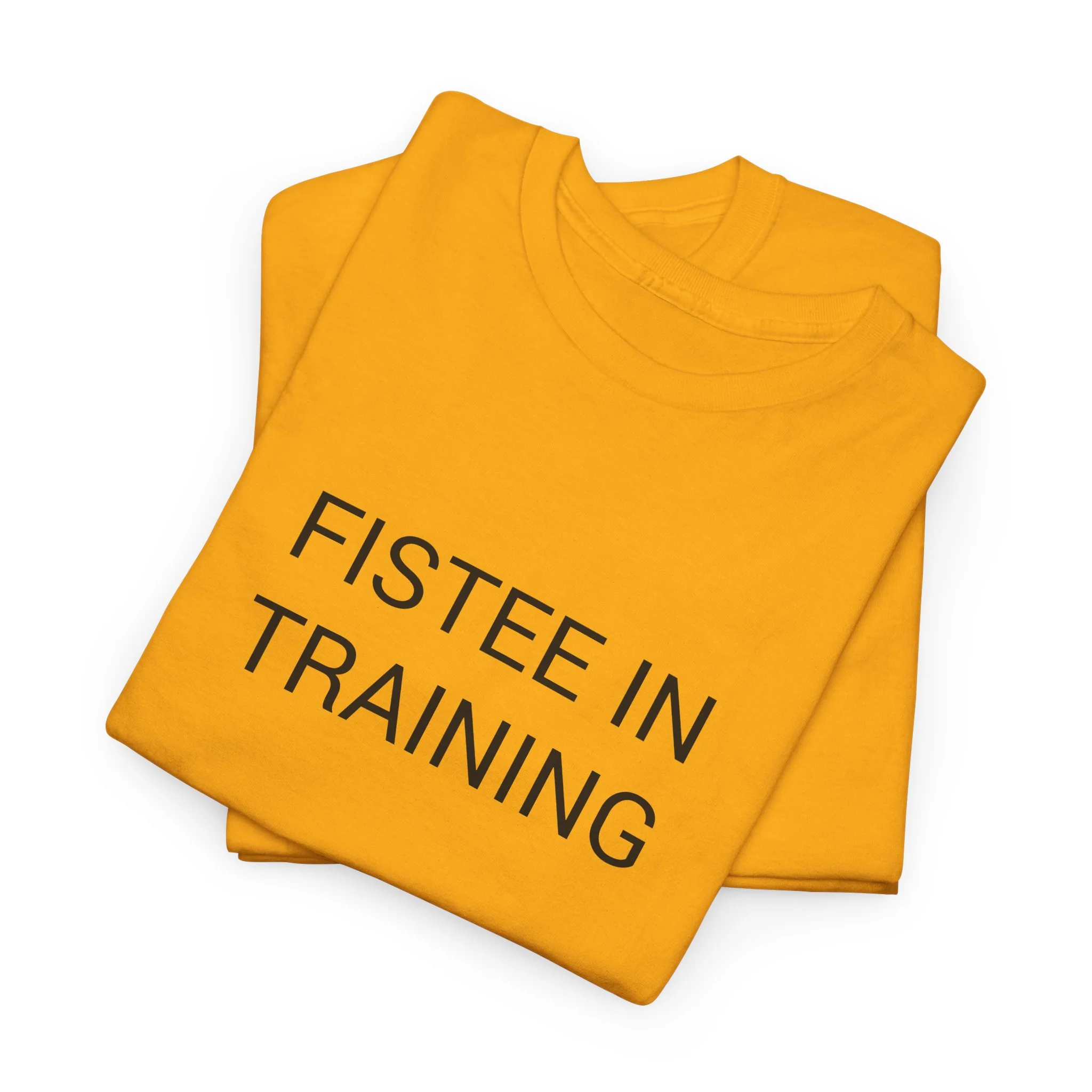 FISTEE IN TRAINING TEE BY CULTUREEDIT AVAILABLE IN 13 COLORS - Image 197
