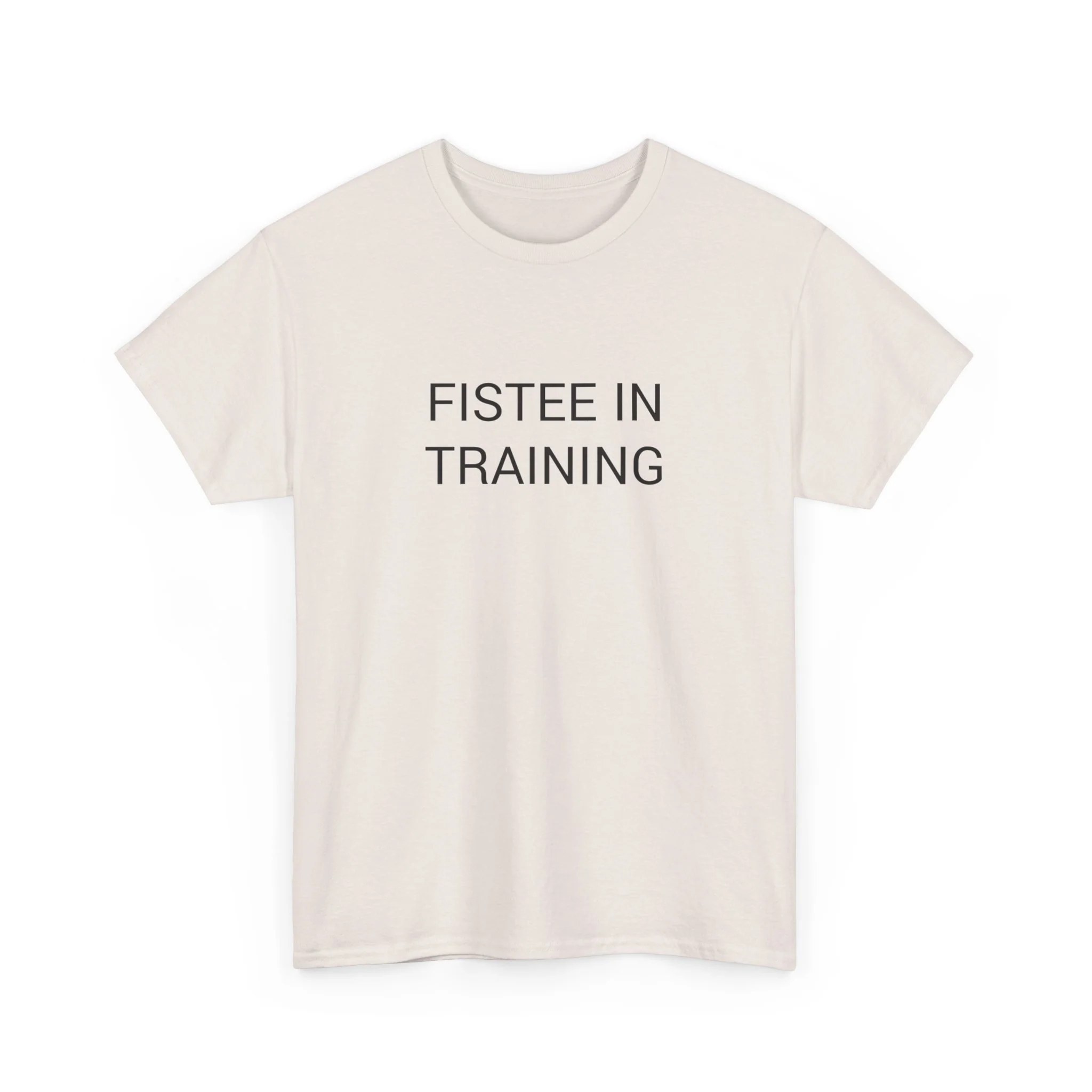 FISTEE IN TRAINING TEE BY CULTUREEDIT AVAILABLE IN 13 COLORS - Image 215