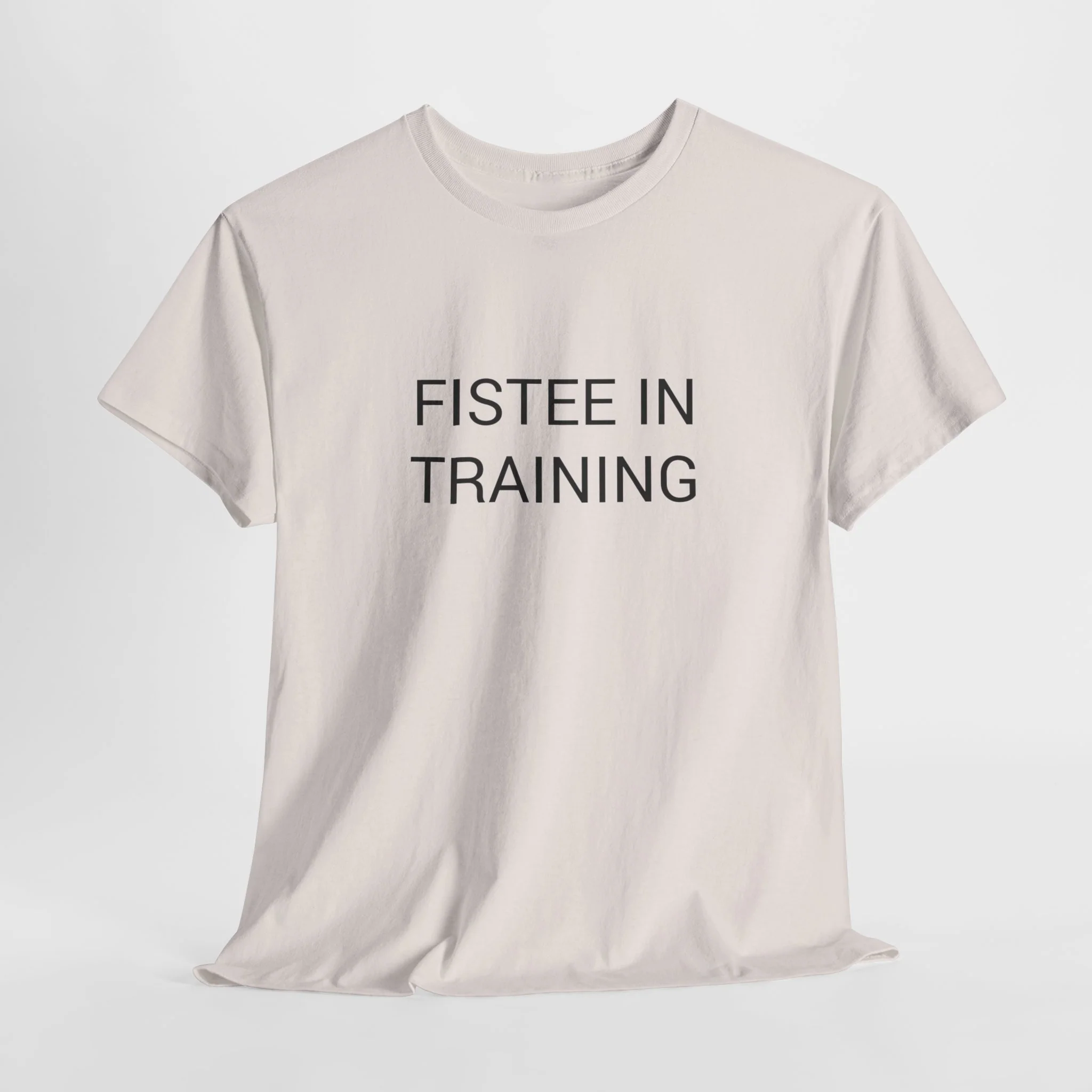 FISTEE IN TRAINING TEE BY CULTUREEDIT AVAILABLE IN 13 COLORS - Image 218