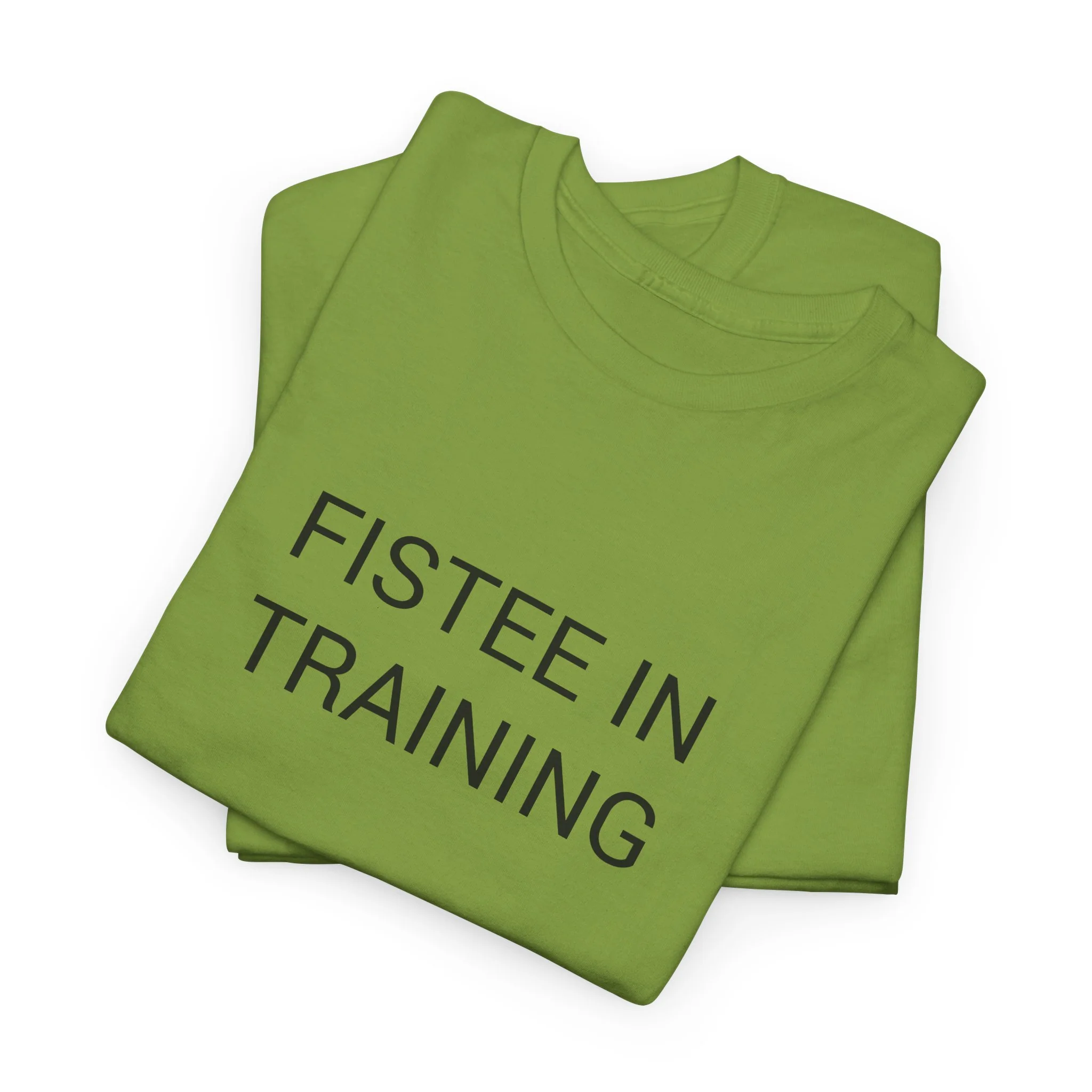 FISTEE IN TRAINING TEE BY CULTUREEDIT AVAILABLE IN 13 COLORS - Image 237