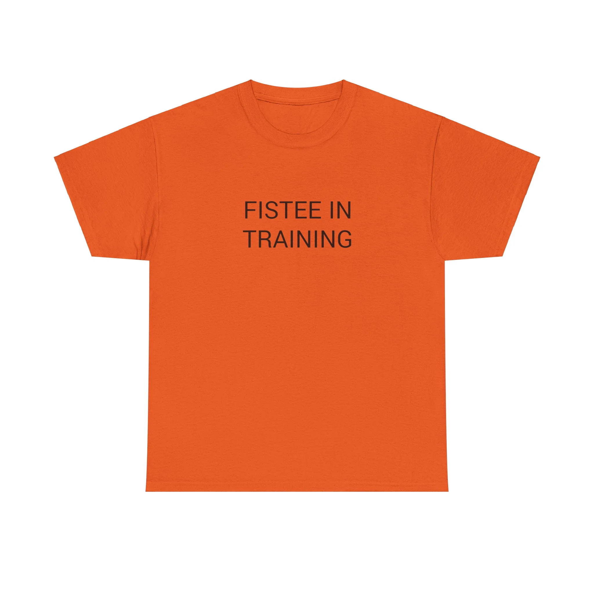 FISTEE IN TRAINING TEE BY CULTUREEDIT AVAILABLE IN 13 COLORS - Image 5