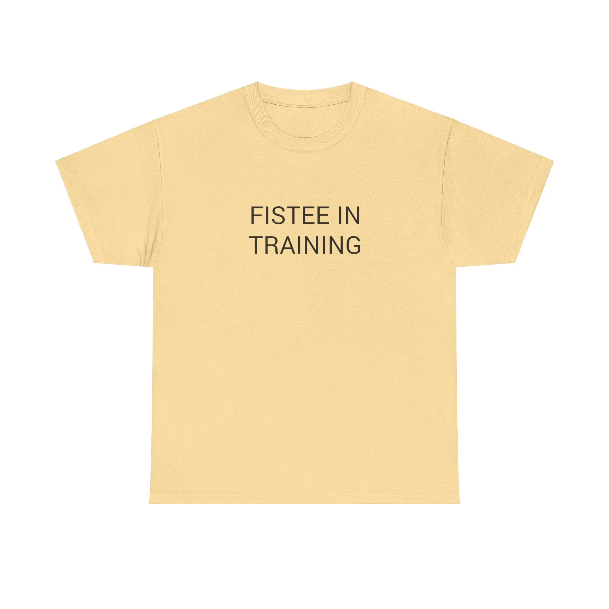 FISTEE IN TRAINING TEE BY CULTUREEDIT AVAILABLE IN 13 COLORS - Image 9