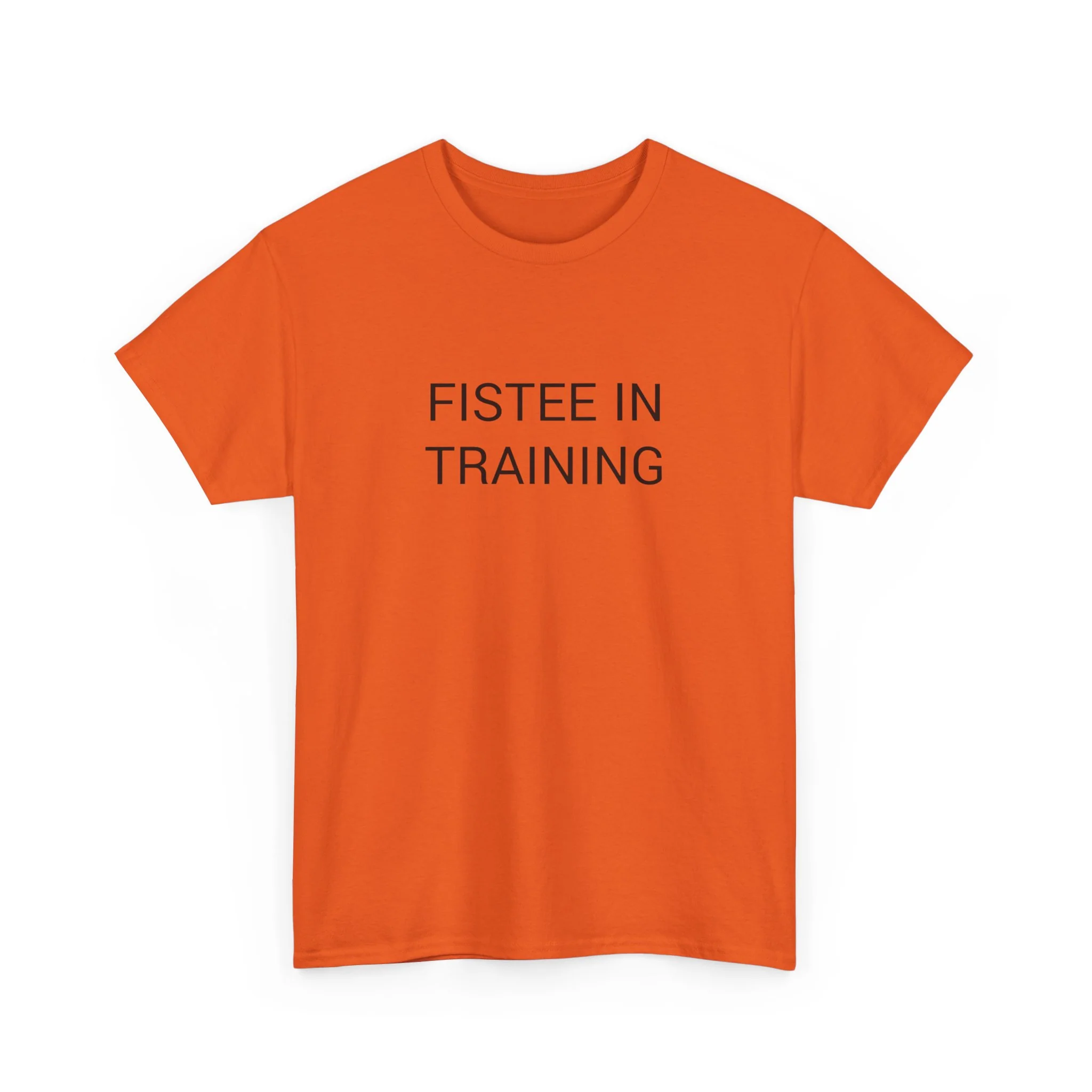 FISTEE IN TRAINING TEE BY CULTUREEDIT AVAILABLE IN 13 COLORS - Image 95
