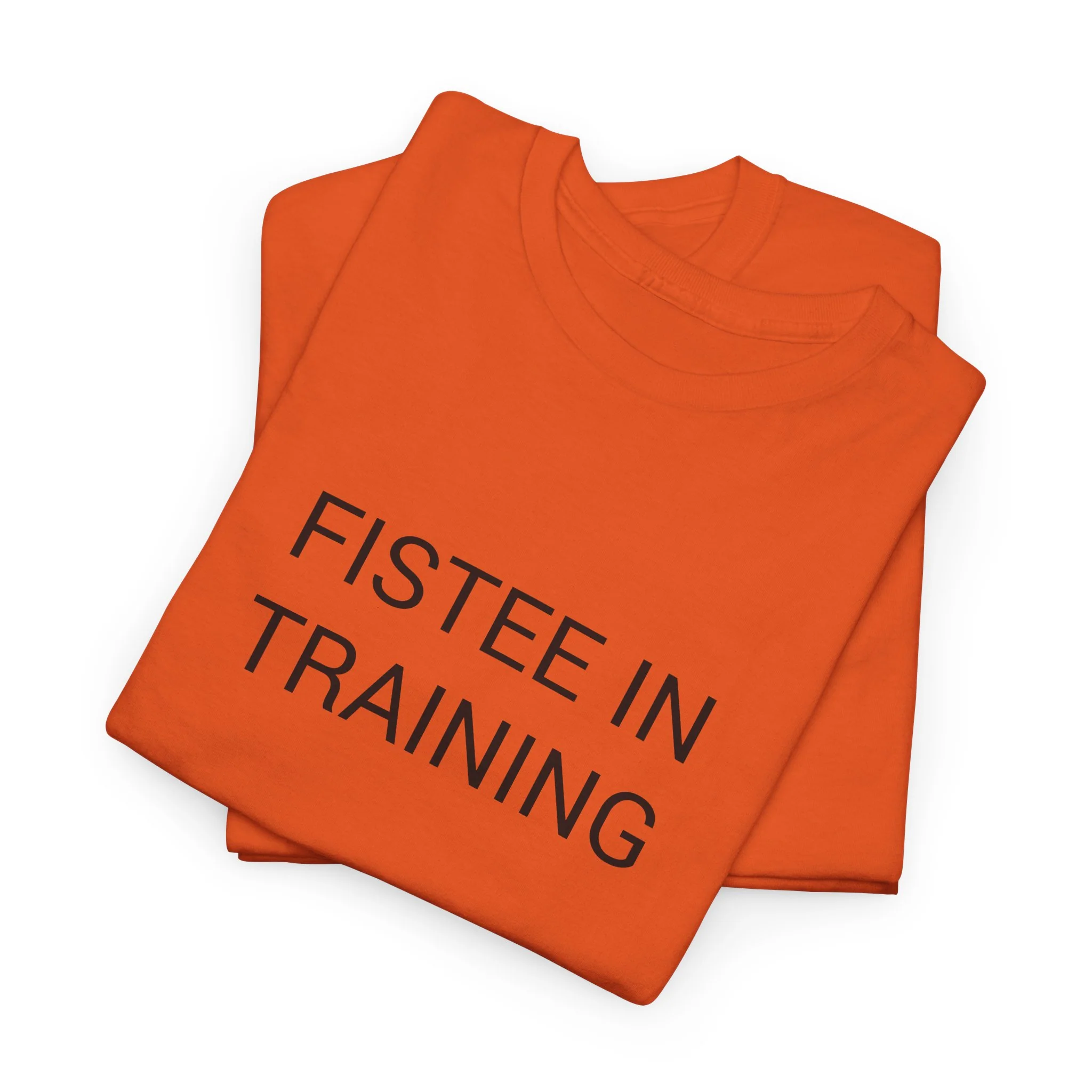 FISTEE IN TRAINING TEE BY CULTUREEDIT AVAILABLE IN 13 COLORS - Image 97