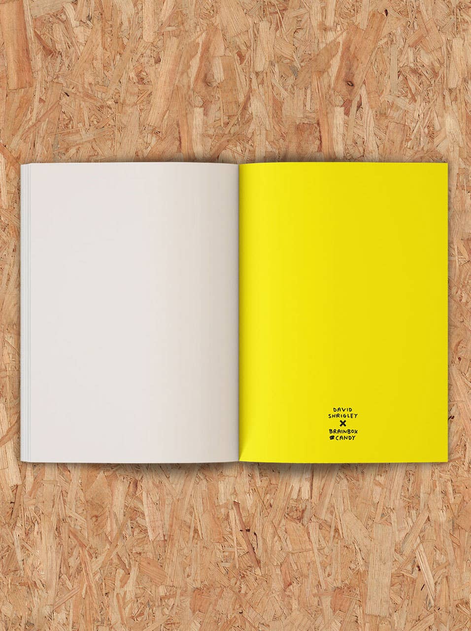 Art Save The World Sketchbook by David Shrigley - Image 4