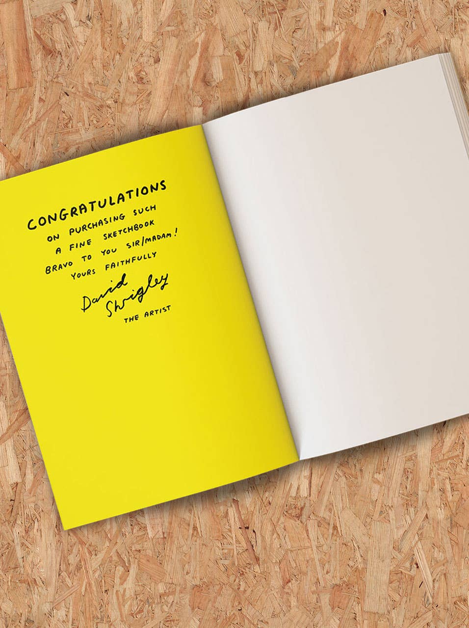Disrespect Drawing Sketchbook by David Shrigley - Image 3