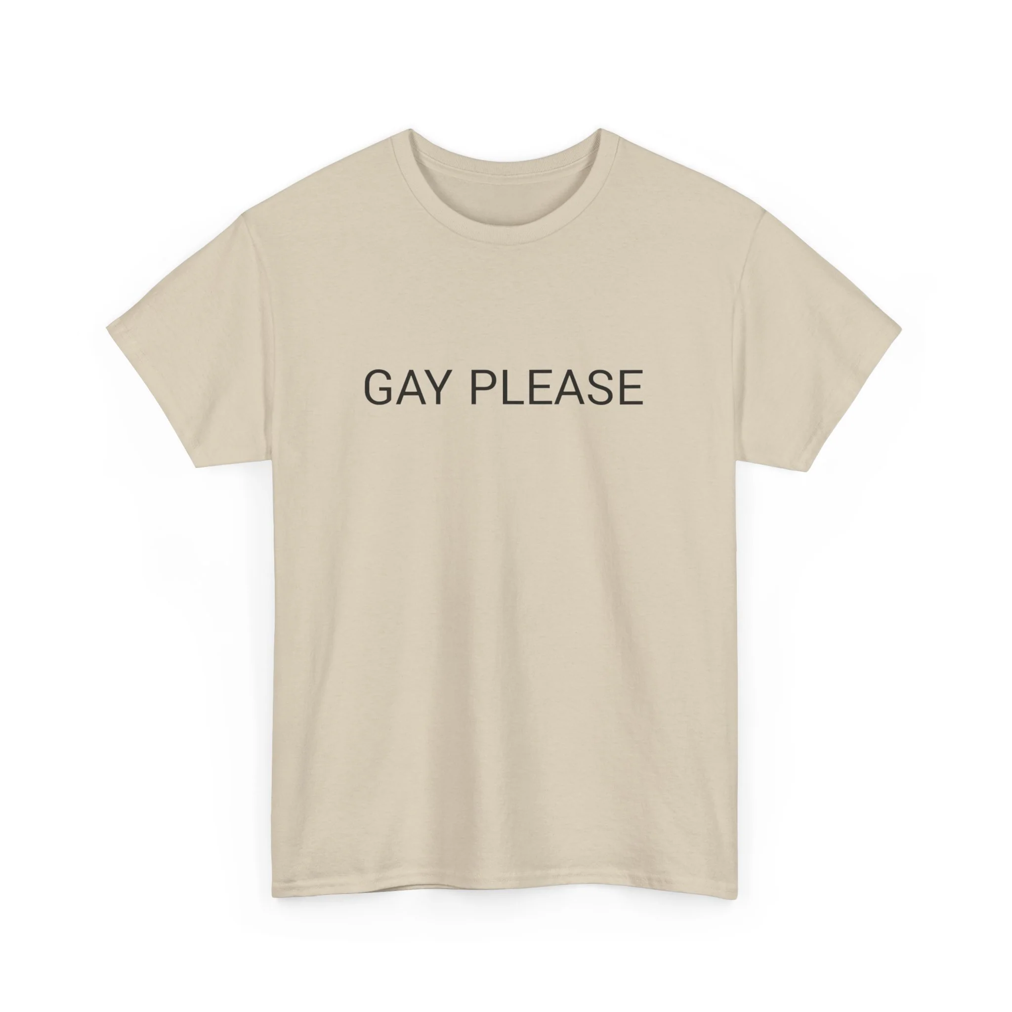 GAY PLEASE TEE BY CULTUREEDIT AVAILABLE IN 13 COLORS - Image 135