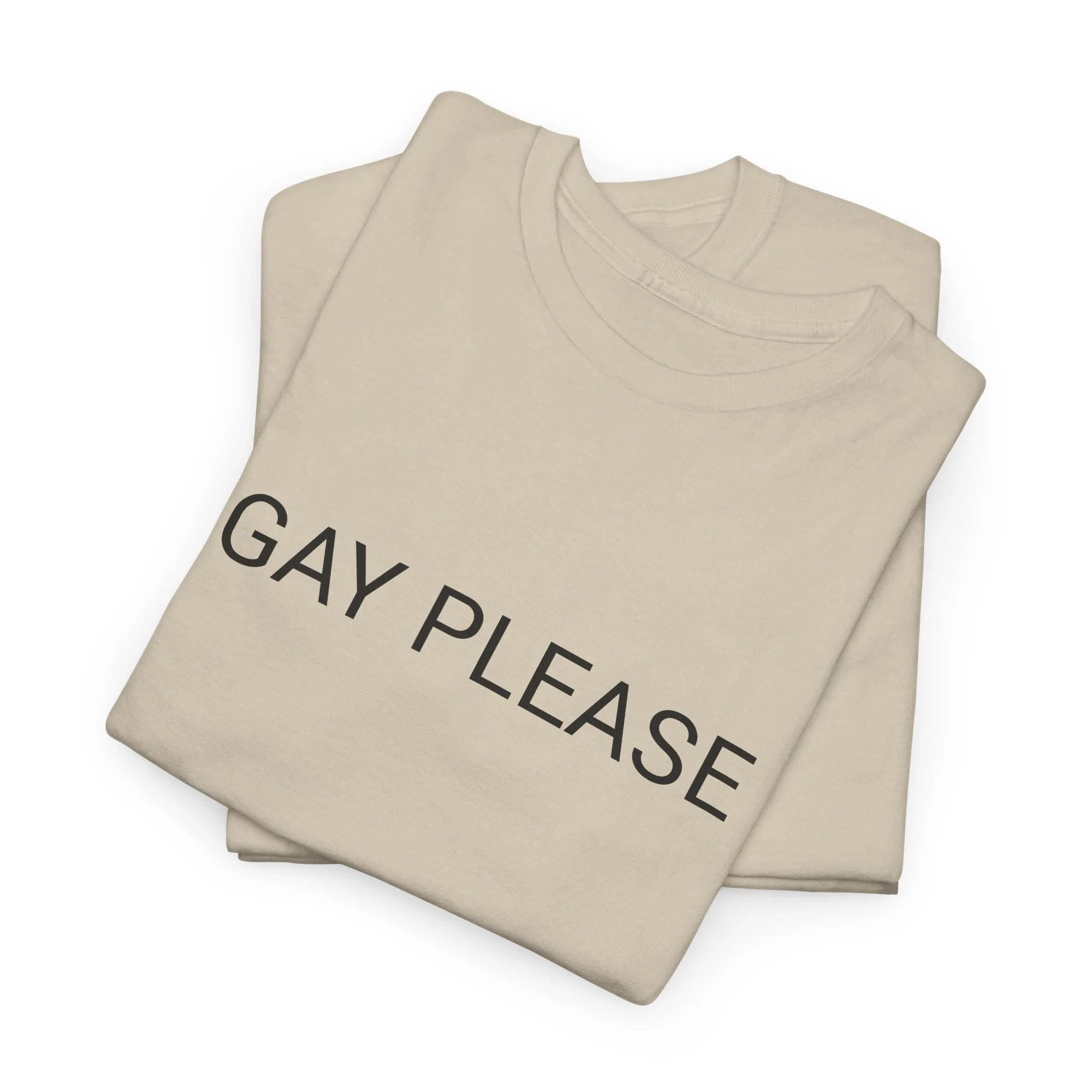 GAY PLEASE TEE BY CULTUREEDIT AVAILABLE IN 13 COLORS - Image 137