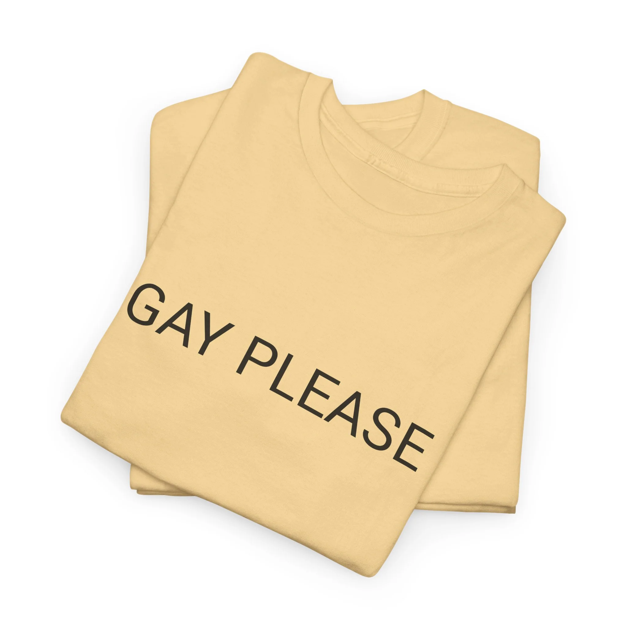 GAY PLEASE TEE BY CULTUREEDIT AVAILABLE IN 13 COLORS - Image 17