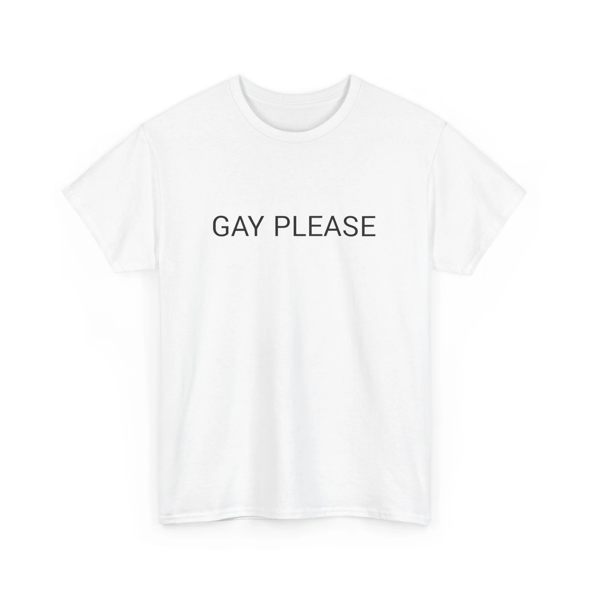 GAY PLEASE TEE BY CULTUREEDIT AVAILABLE IN 13 COLORS - Image 175