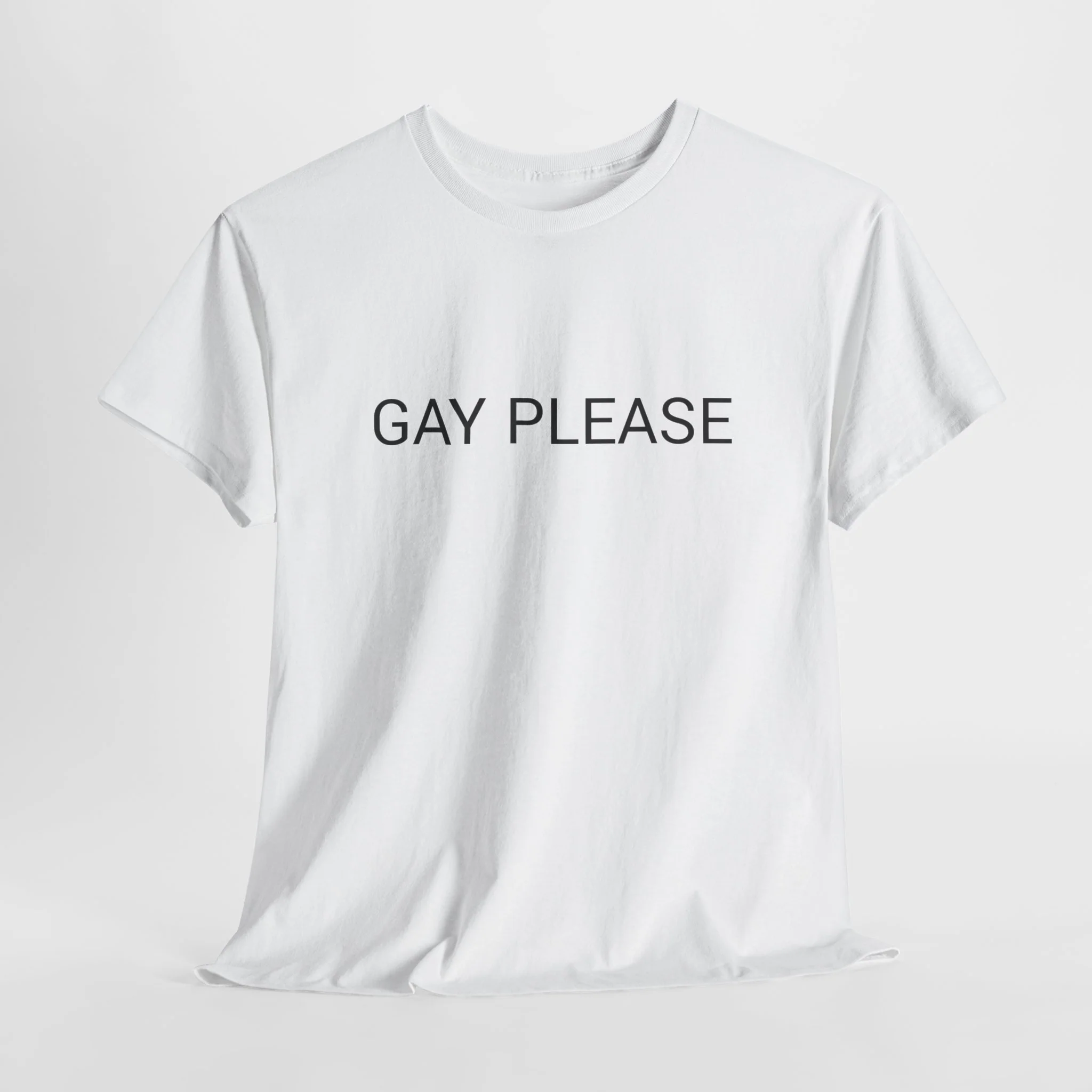 GAY PLEASE TEE BY CULTUREEDIT AVAILABLE IN 13 COLORS - Image 178