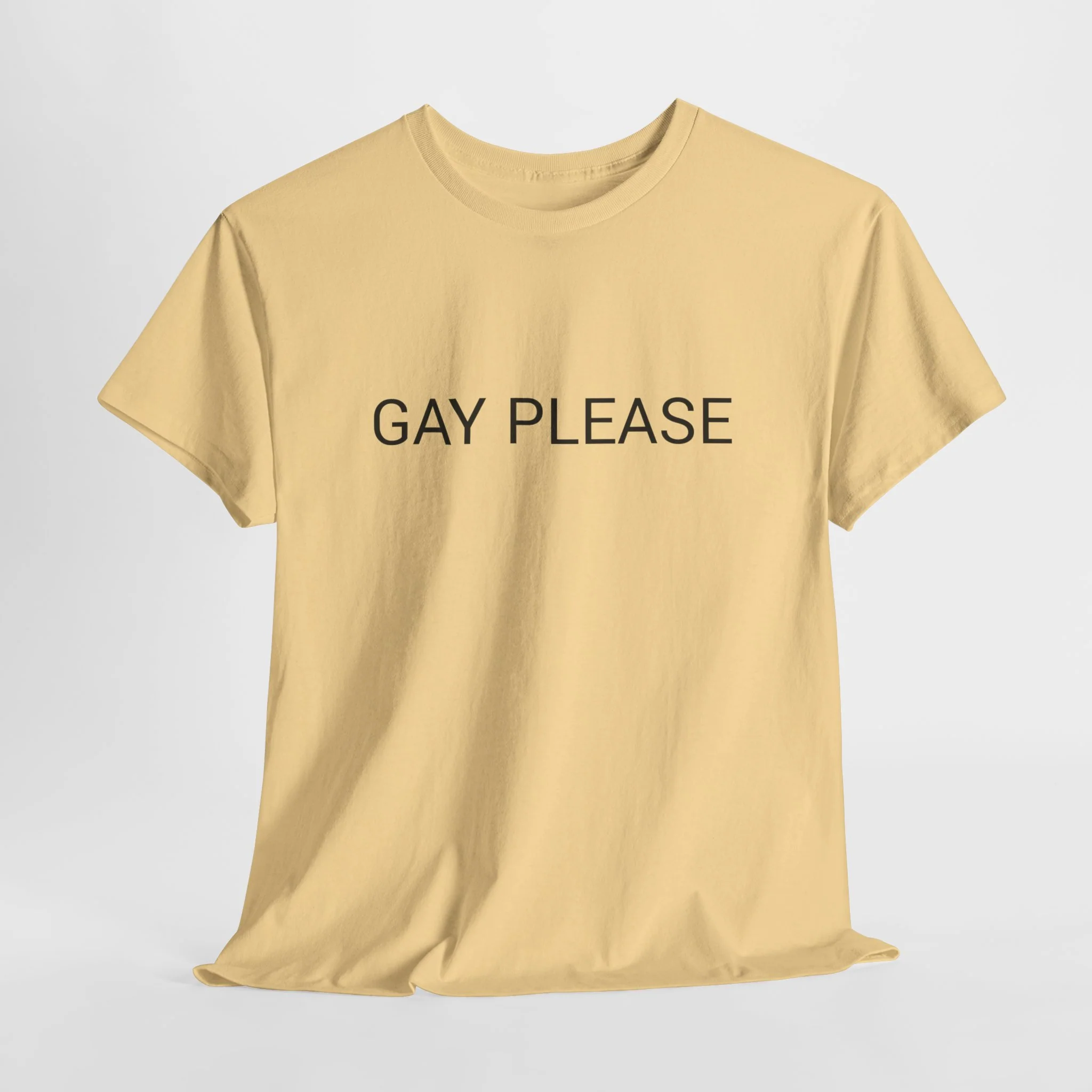 GAY PLEASE TEE BY CULTUREEDIT AVAILABLE IN 13 COLORS - Image 18