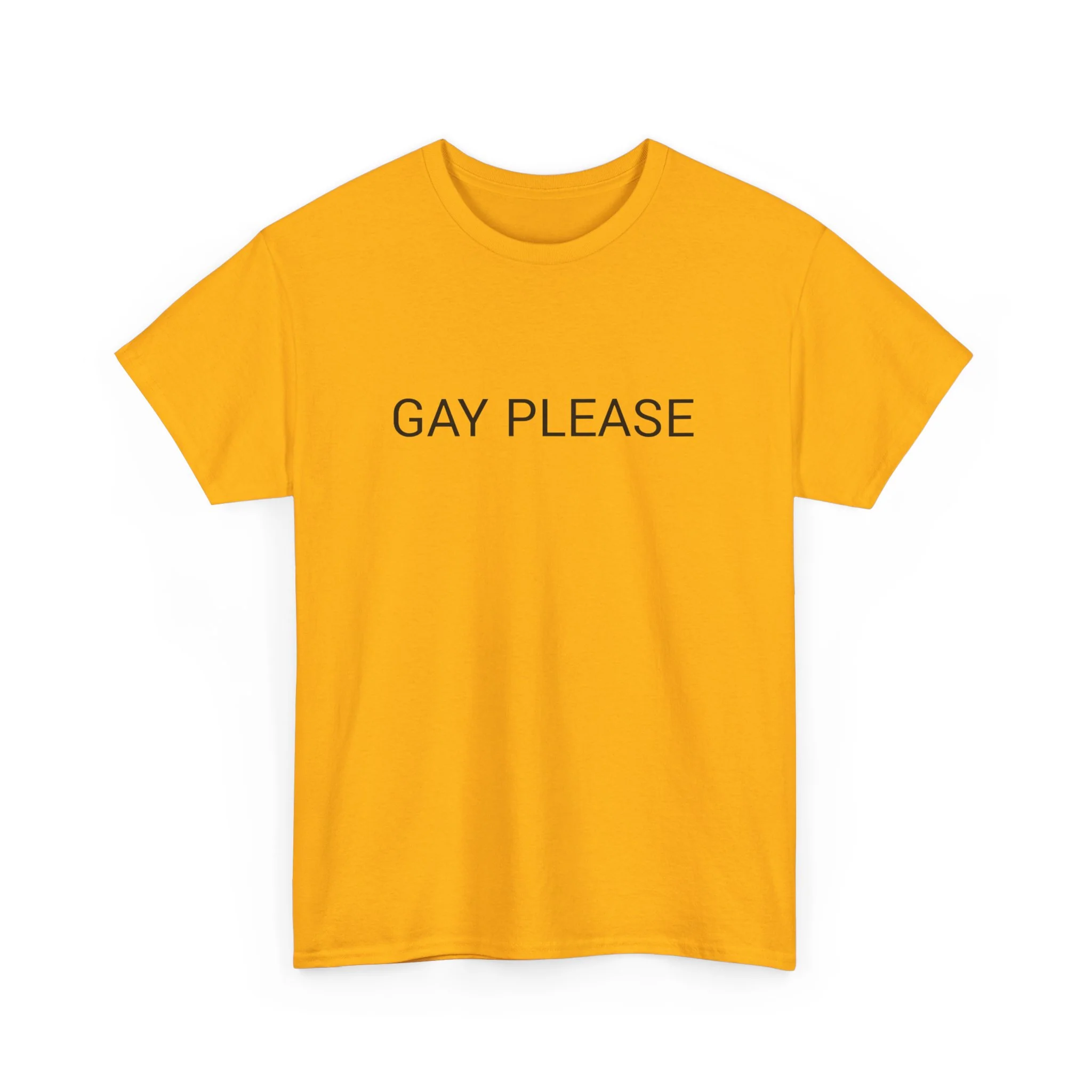 GAY PLEASE TEE BY CULTUREEDIT AVAILABLE IN 13 COLORS - Image 195