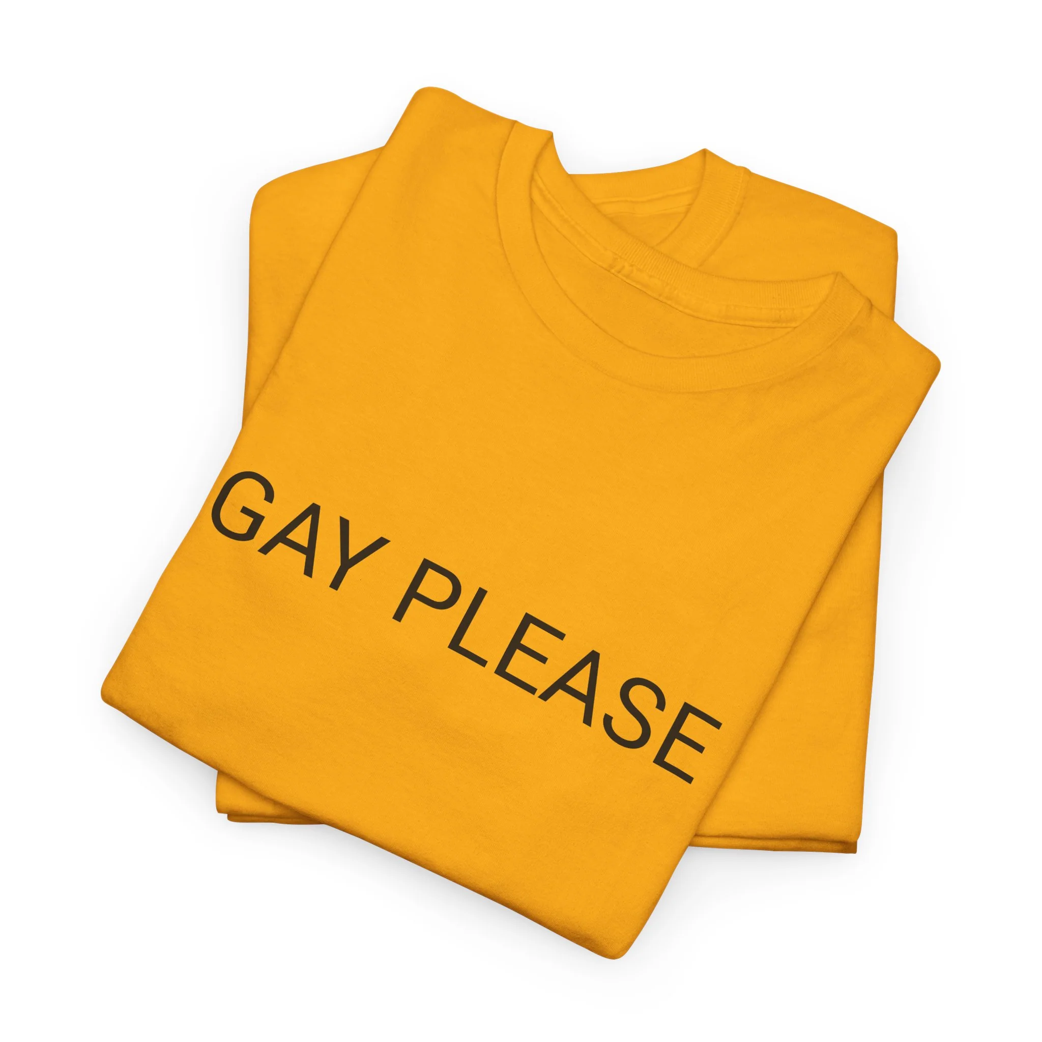 GAY PLEASE TEE BY CULTUREEDIT AVAILABLE IN 13 COLORS - Image 197