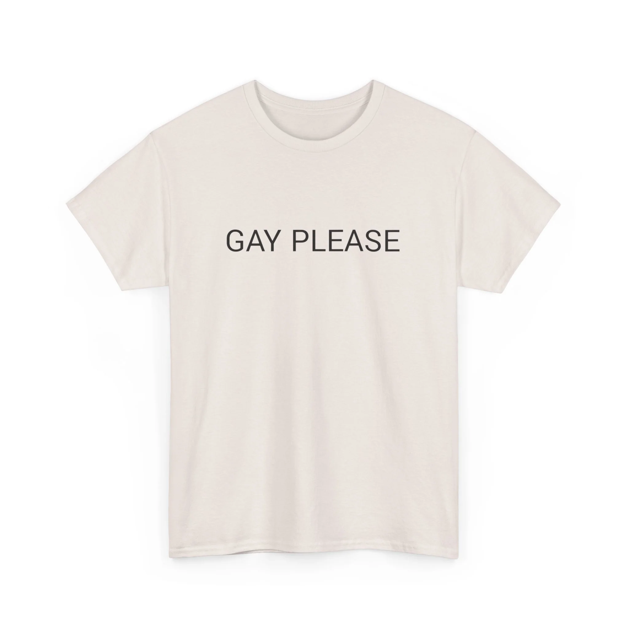 GAY PLEASE TEE BY CULTUREEDIT AVAILABLE IN 13 COLORS - Image 215