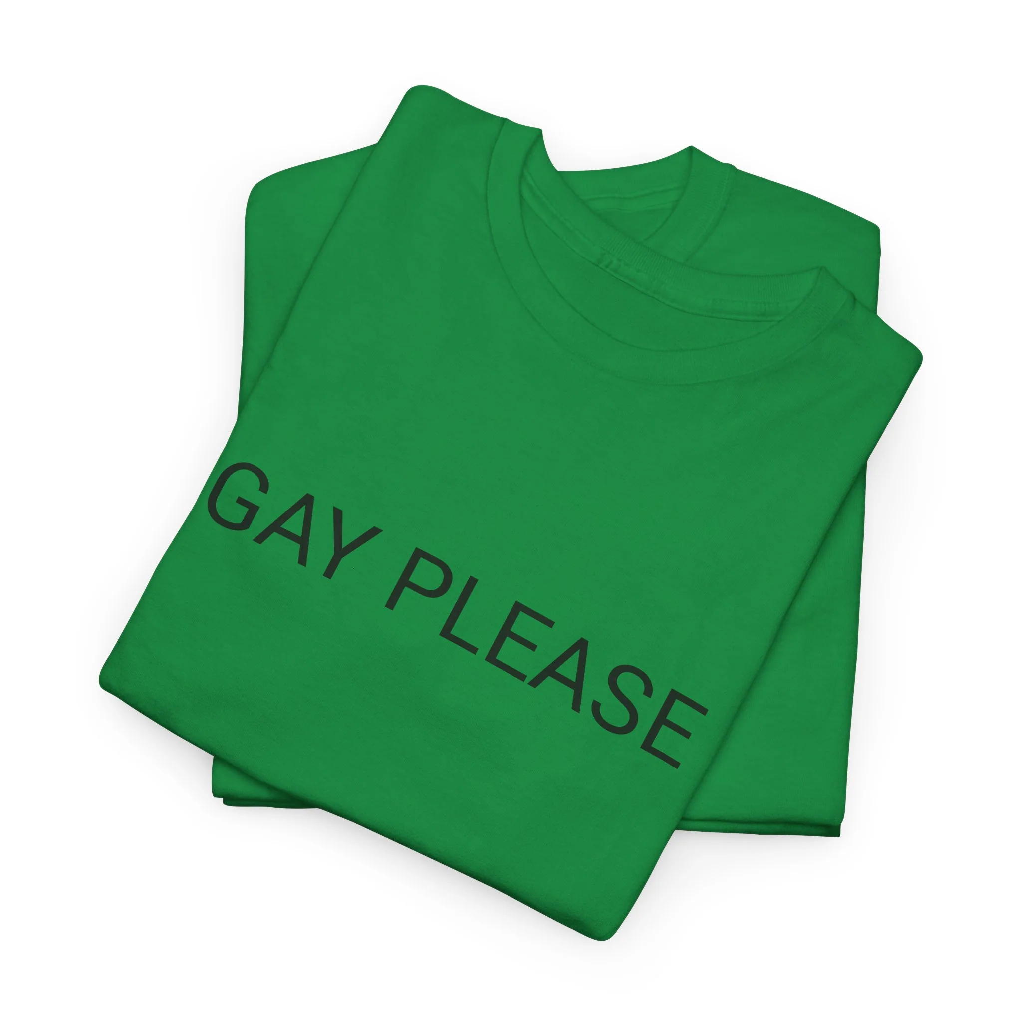 GAY PLEASE TEE BY CULTUREEDIT AVAILABLE IN 13 COLORS - Image 37