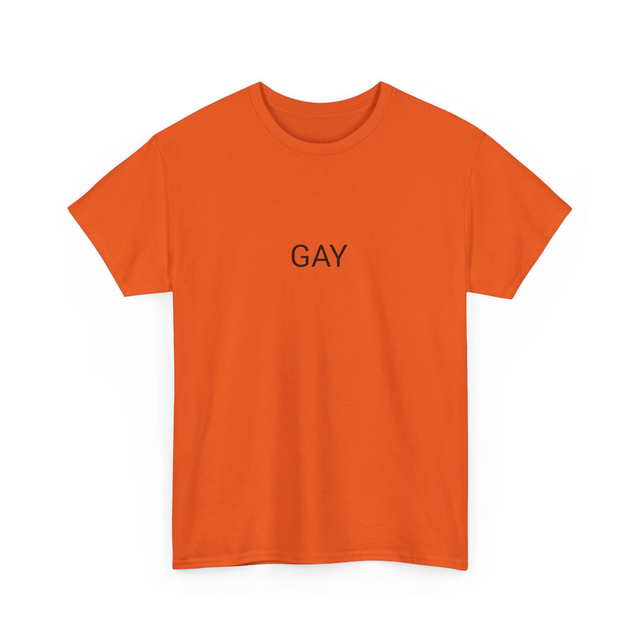 GAY TEE BY CULTUREEDIT AVAILABLE IN 13 COLORS - Image 24