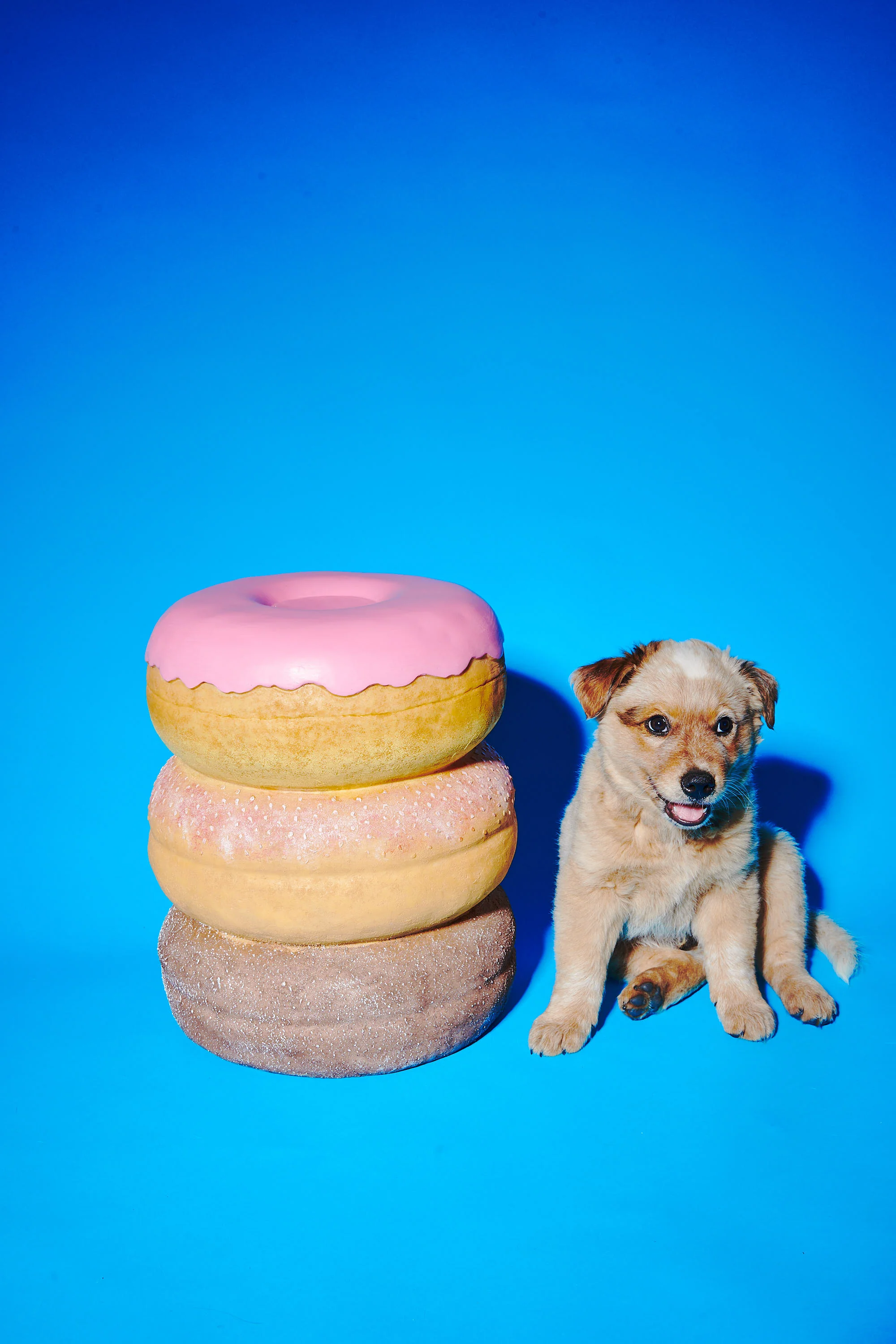 Giant Donut Stool by Third Drawer Down - Image 6