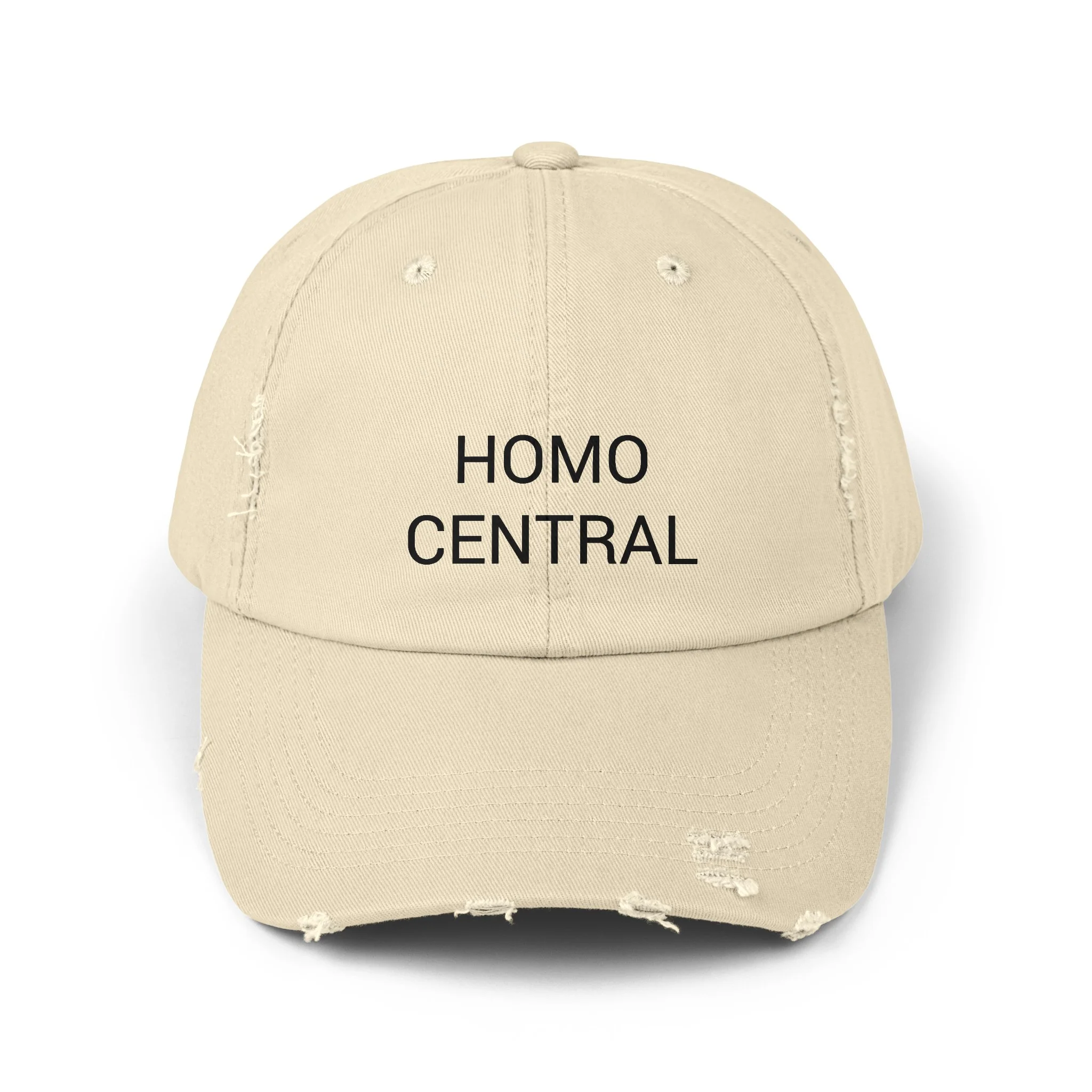 HOMO CENTRAL Distressed Cap in 6 colors - Image 6