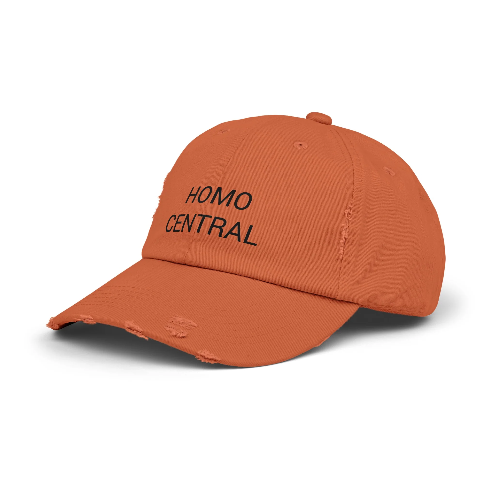 HOMO CENTRAL Distressed Cap in 6 colors - Image 8