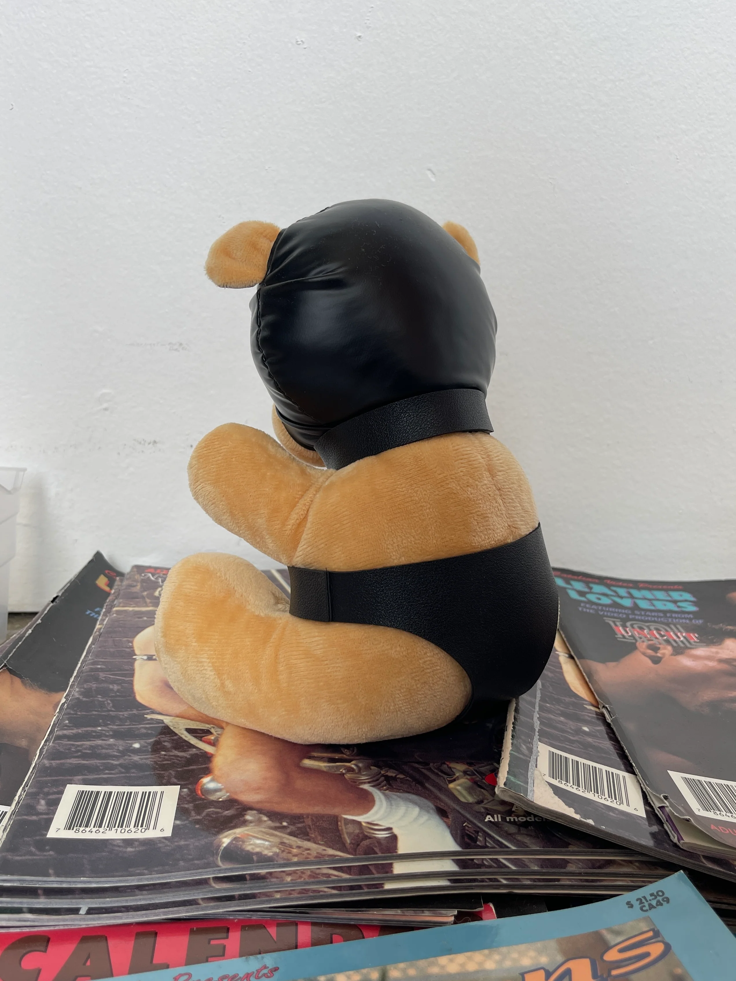 HOODED TEDDY BEAR PLUSH - Image 4