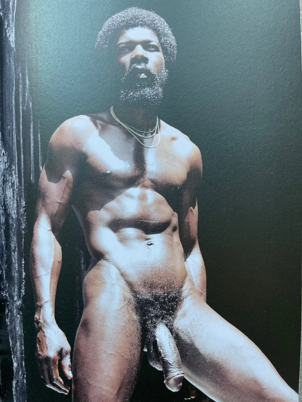 The Little Big Penis Book - Image 18